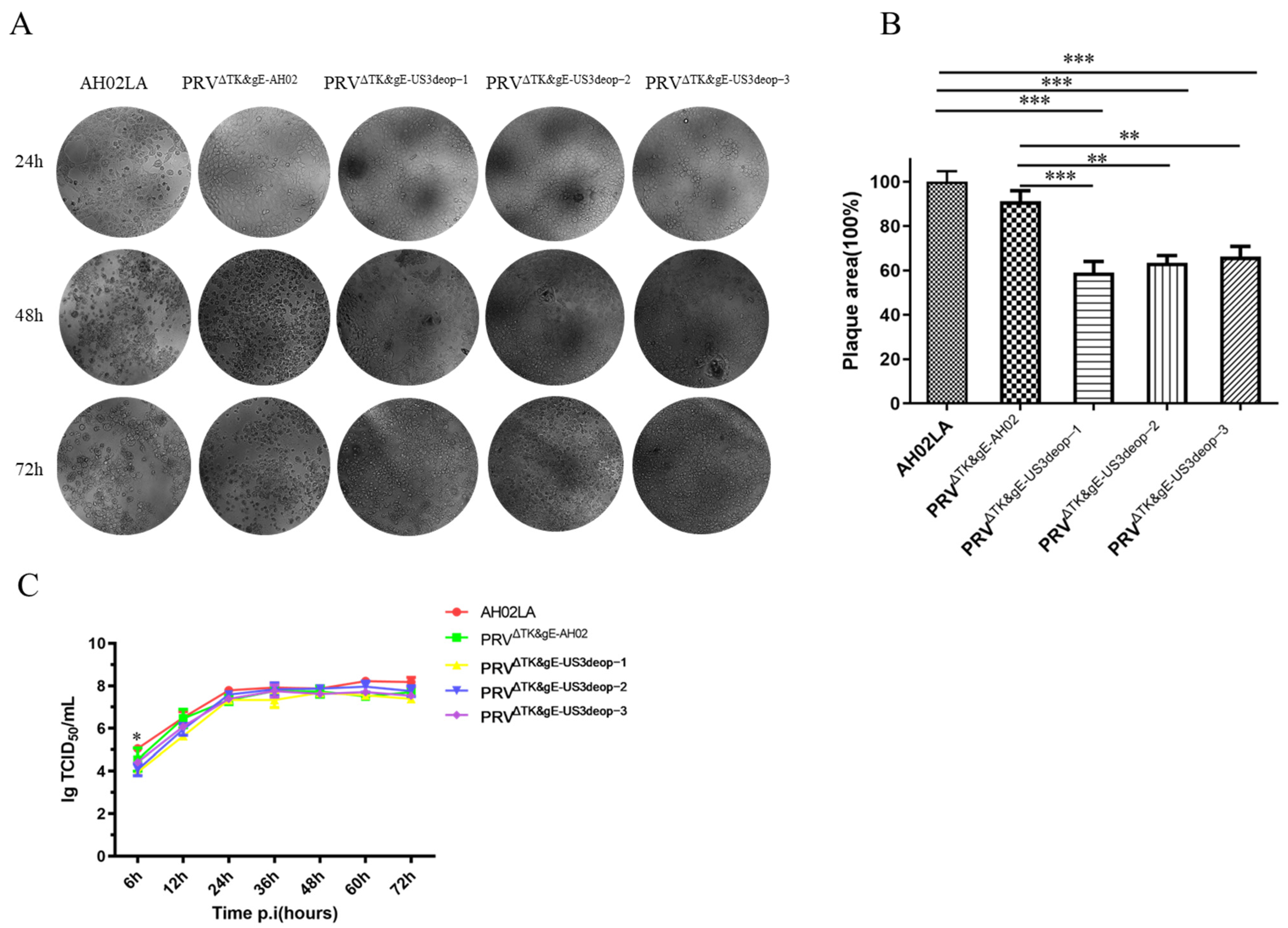 Vaccines 11 01288 g003