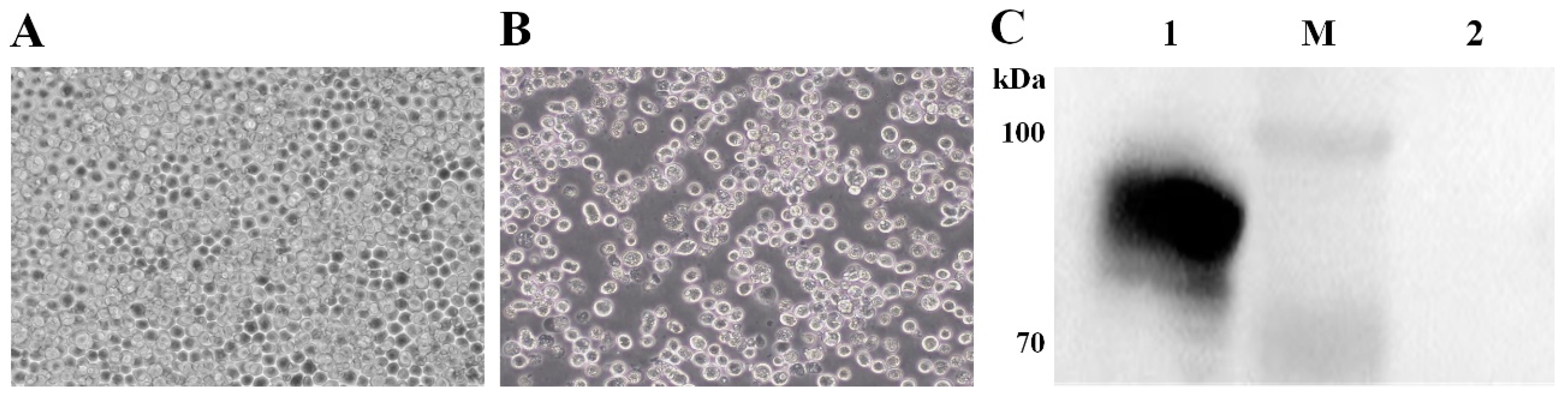 Vaccines 11 01292 g002