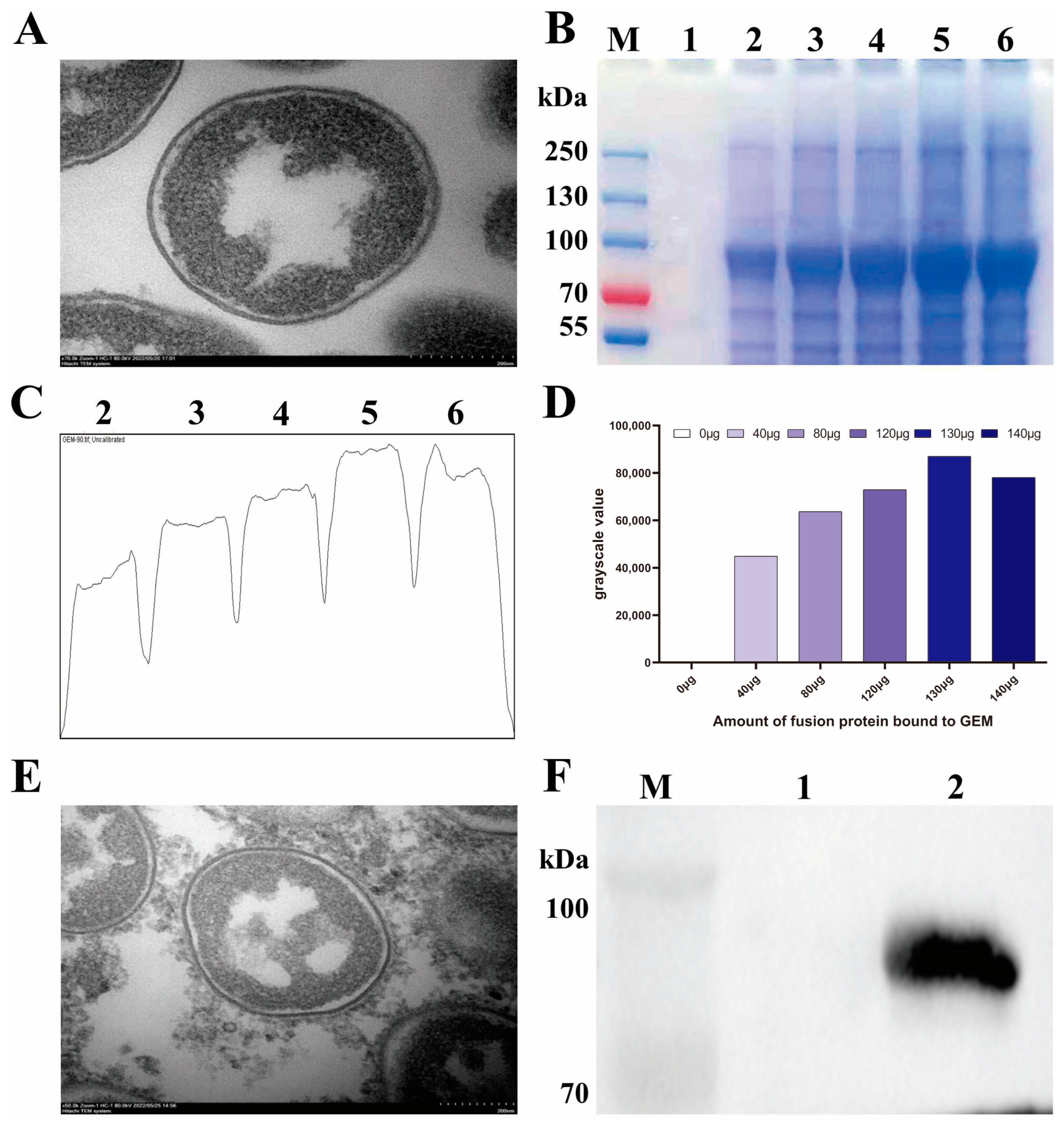 Vaccines 11 01292 g003