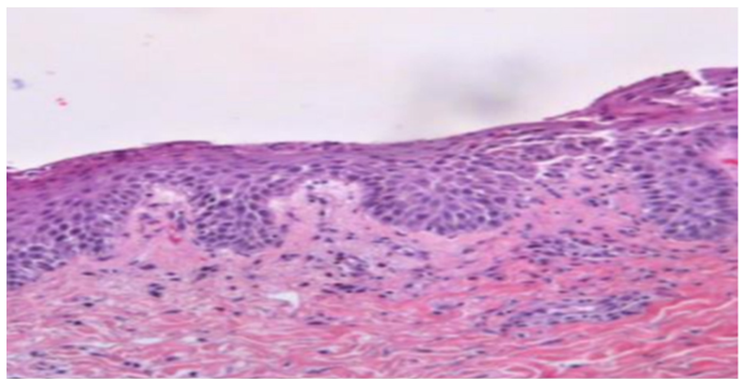 Vaccines 11 01298 g002