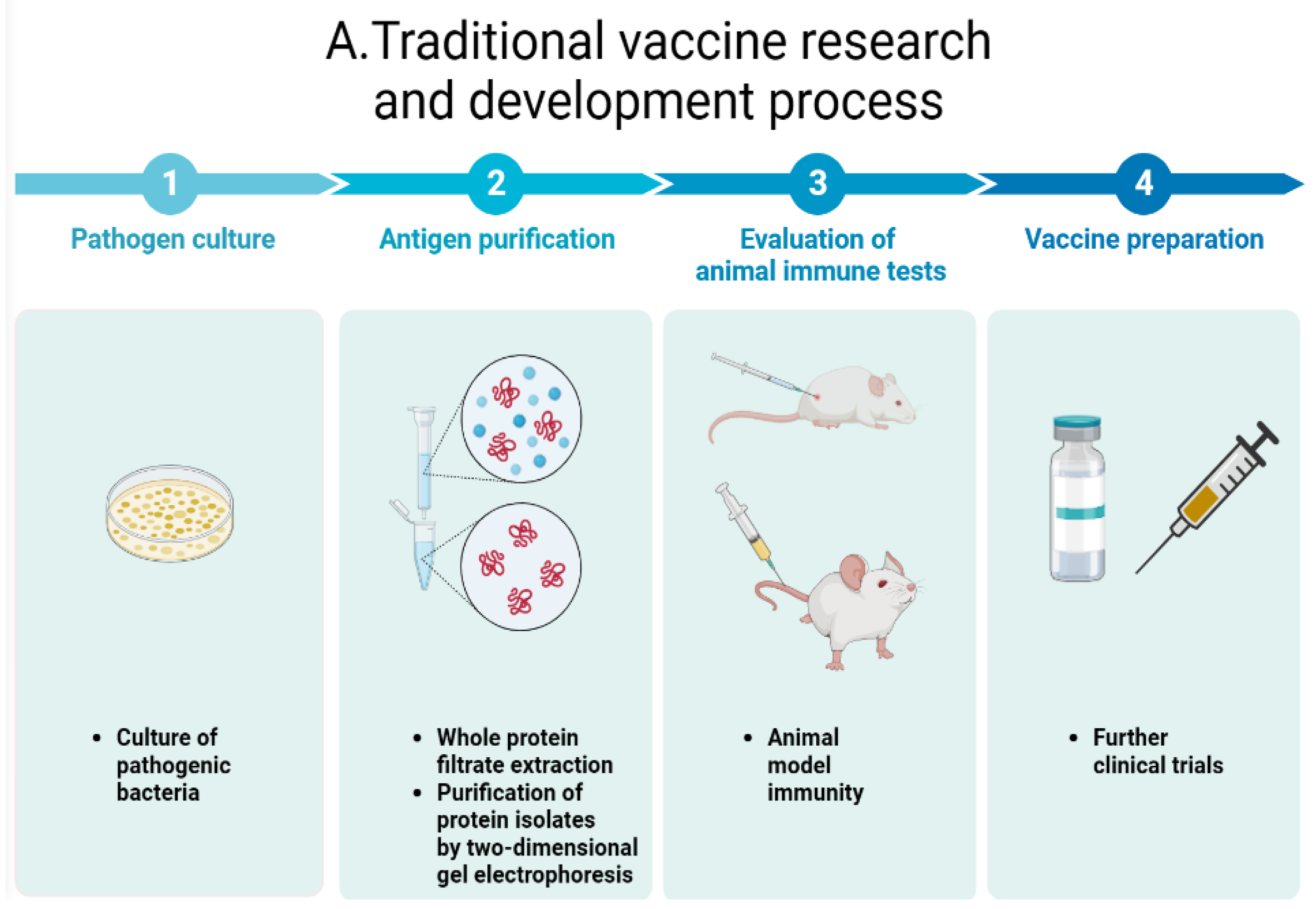 Vaccines 11 01302 g004a Vaccines 11 01302 g004a