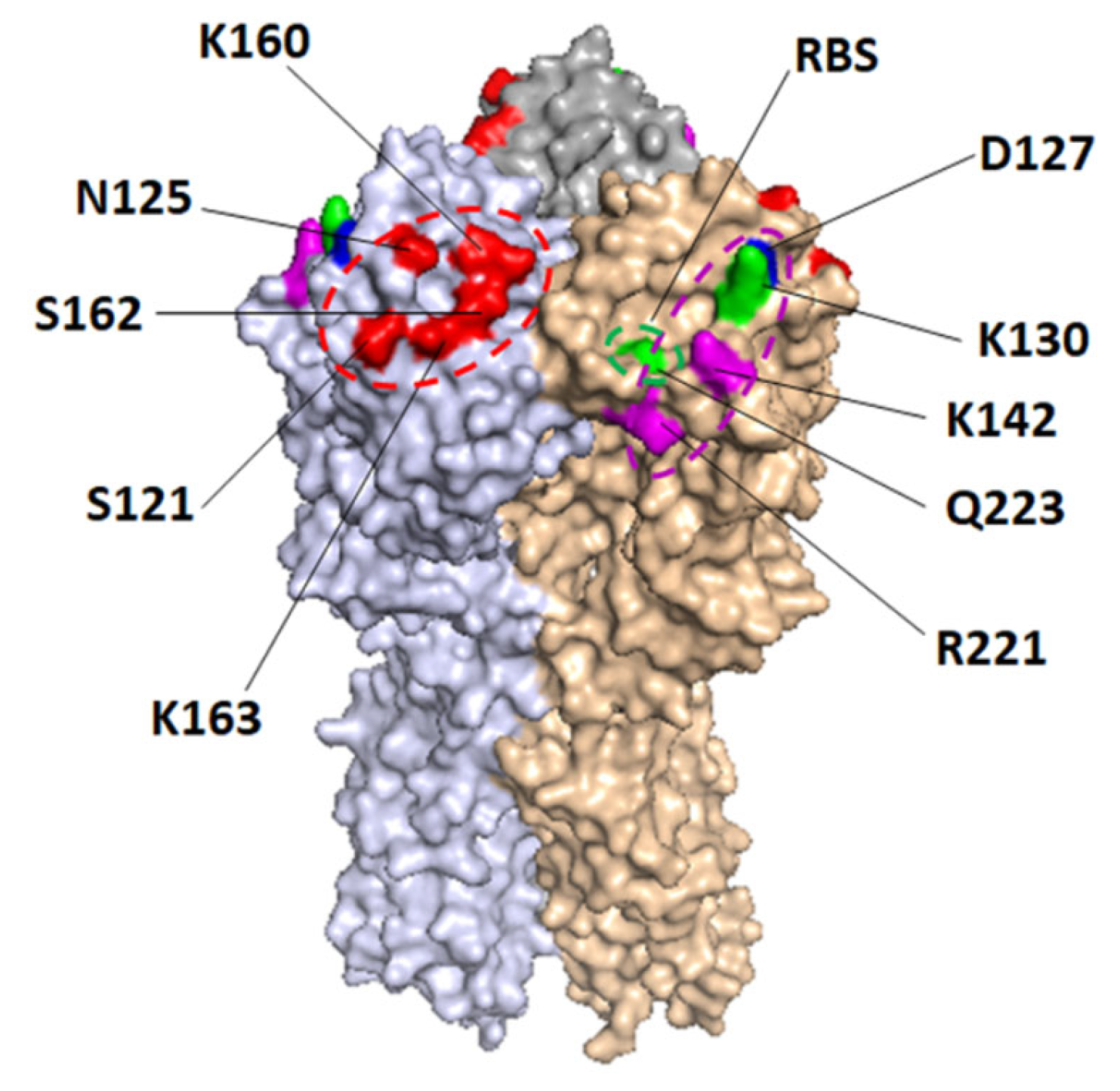 Vaccines 11 01307 g004