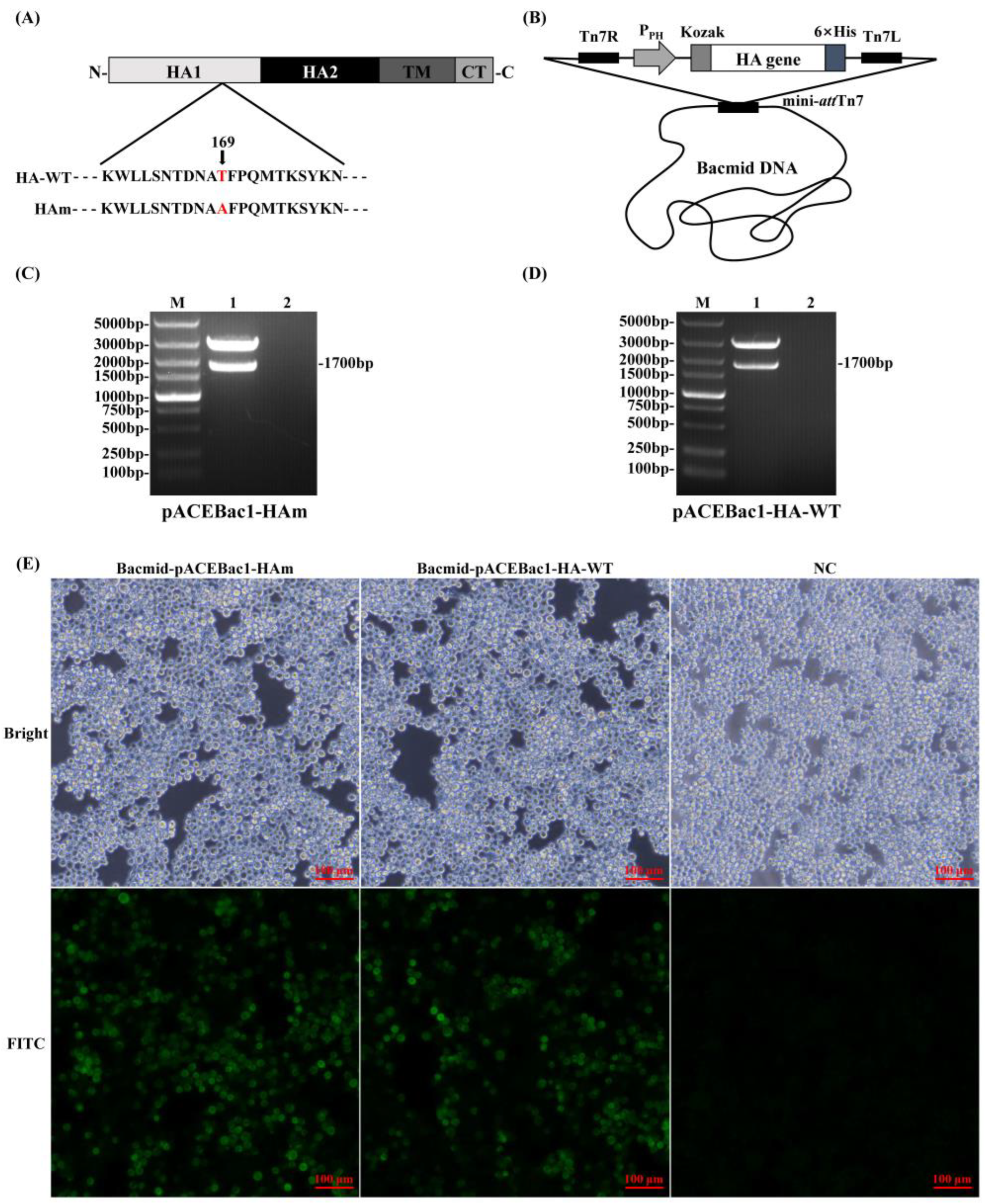 Vaccines 11 01318 g001