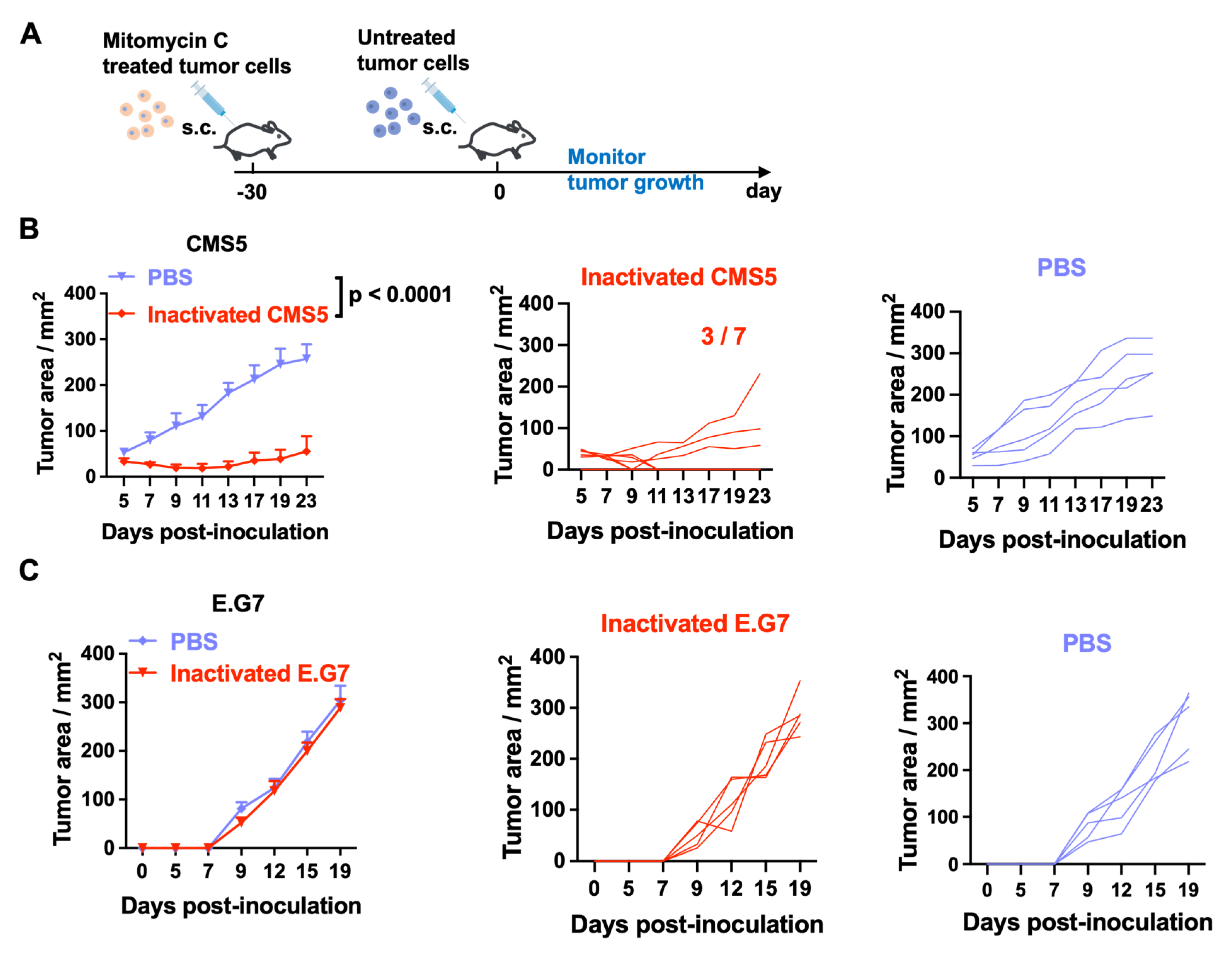Vaccines 11 01330 g001