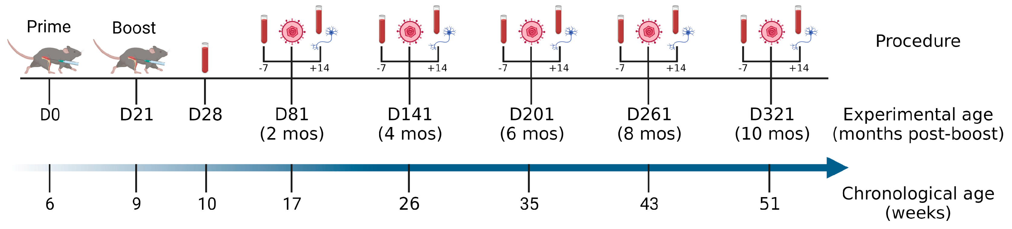Vaccines 11 01362 g001