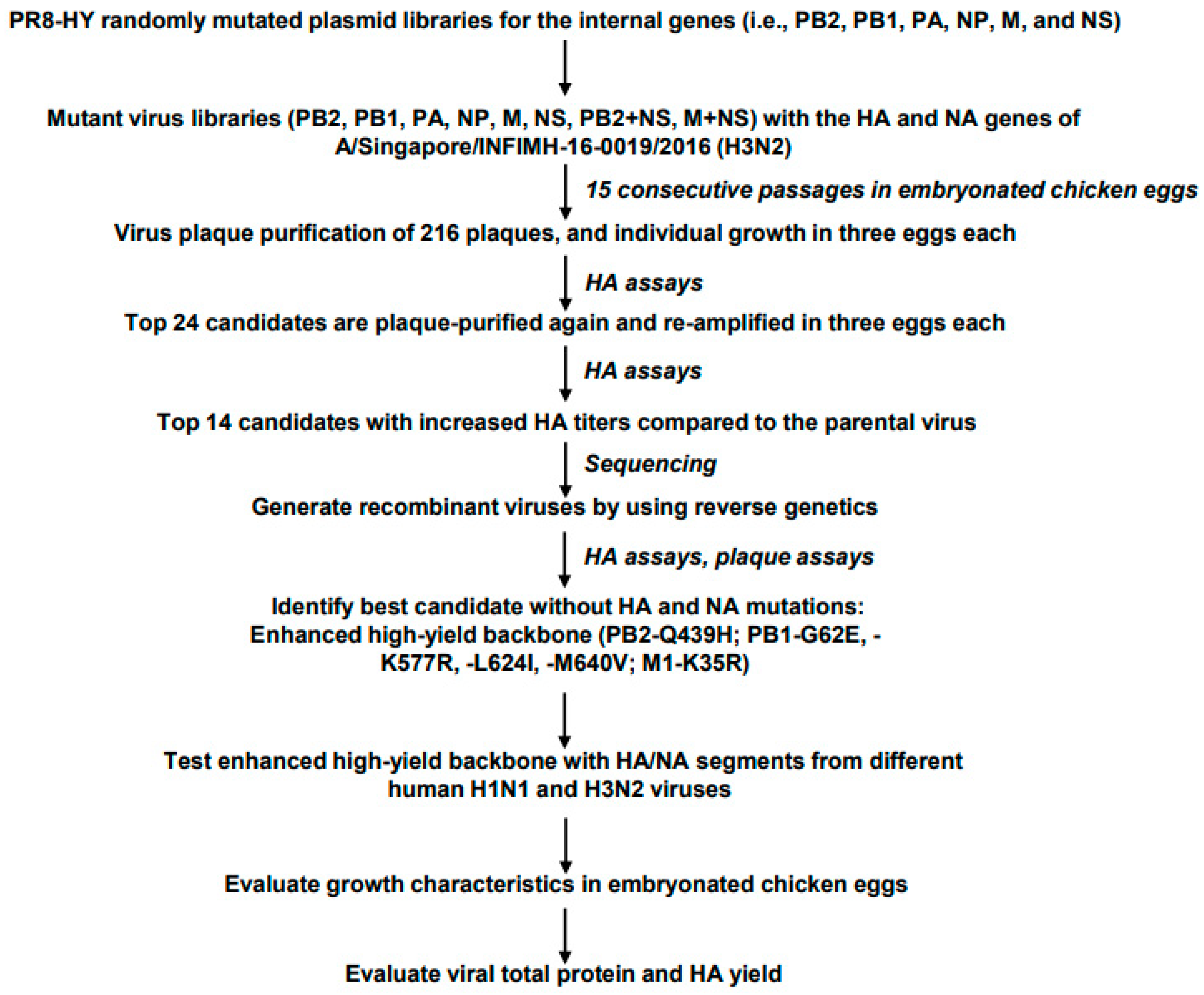 Vaccines 11 01364 g001 Vaccines 11 01364 g001