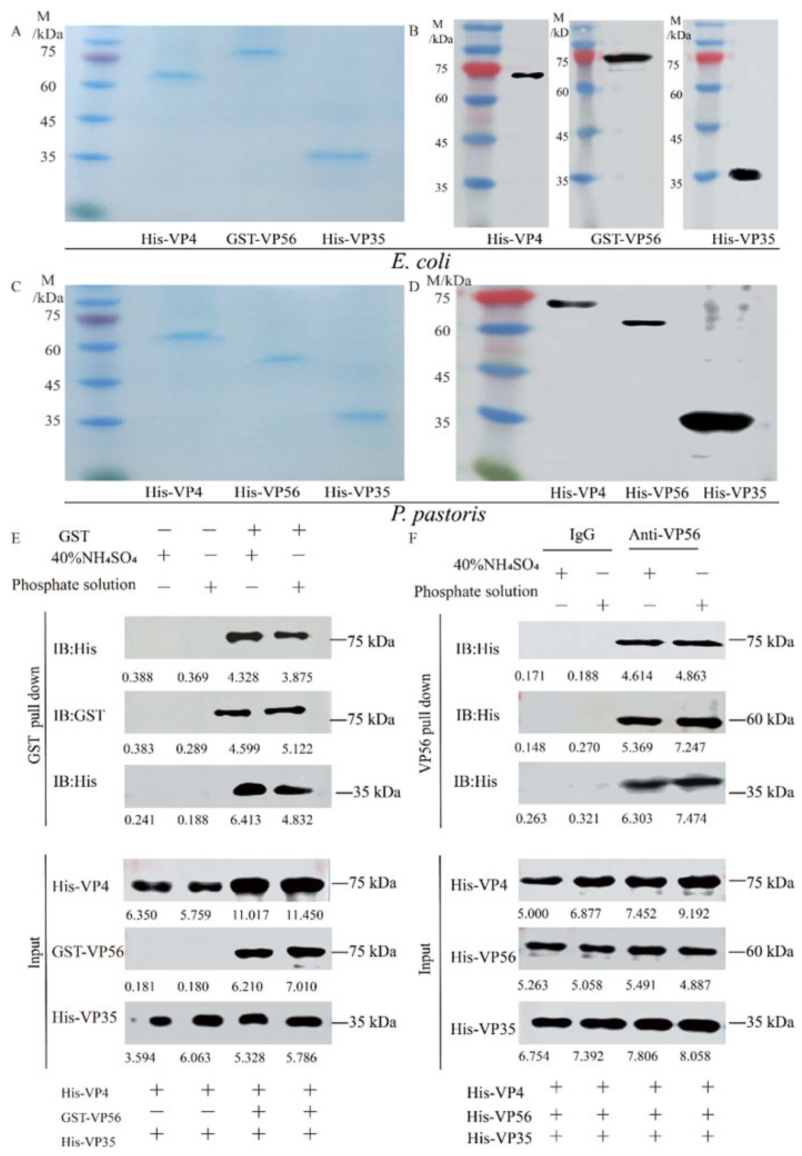 Vaccines 11 01373 g001