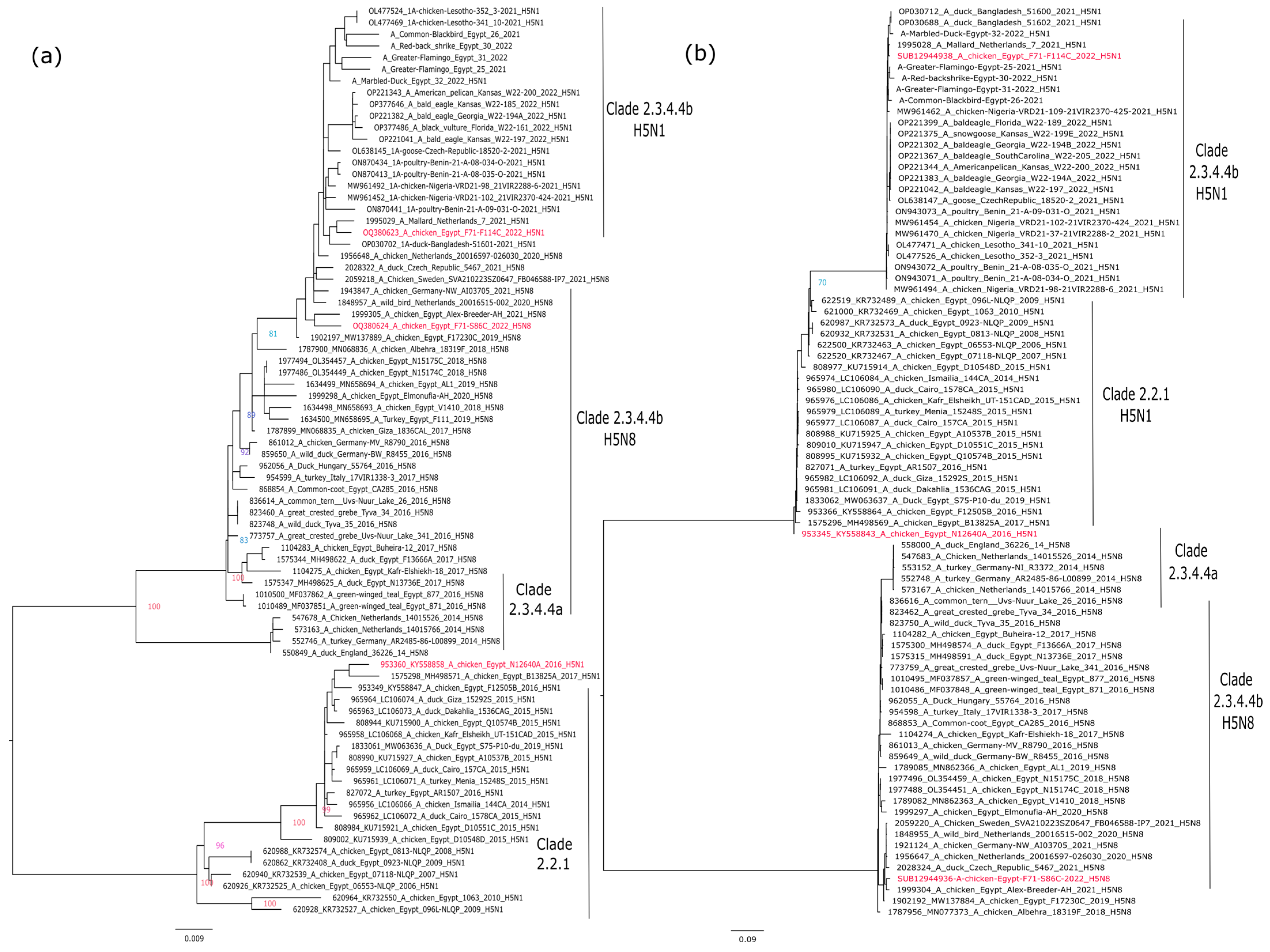 Vaccines 11 01397 g001