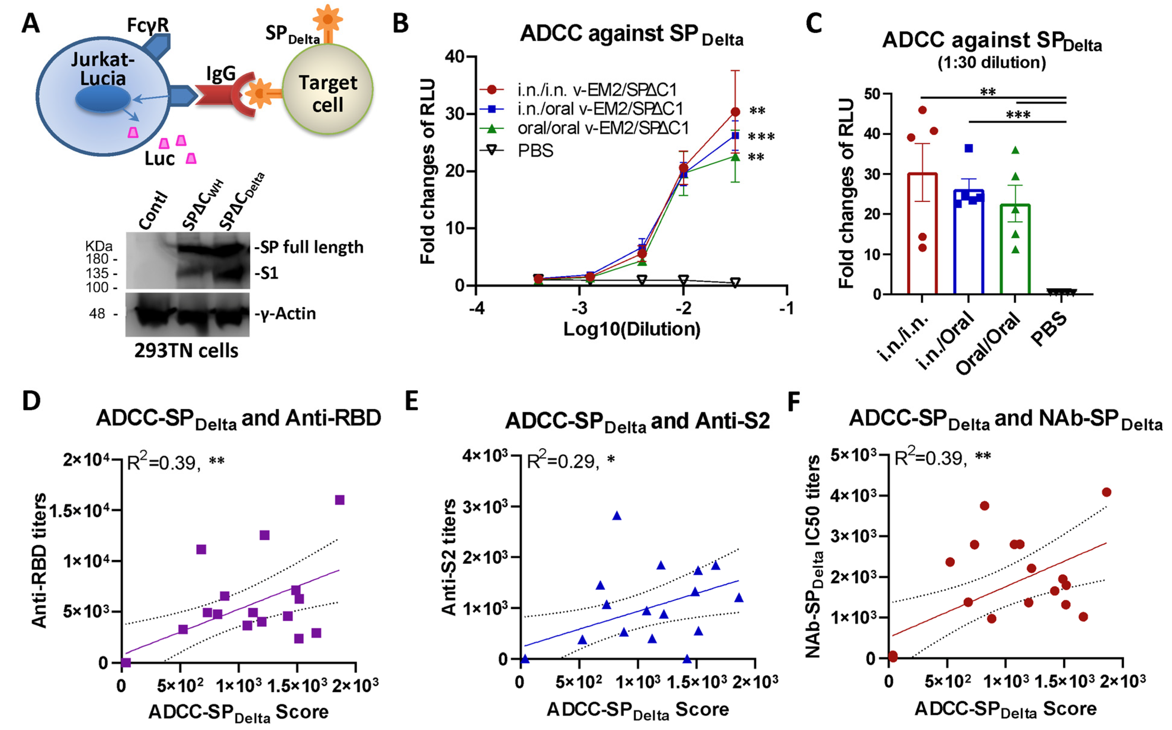Vaccines 11 01404 g003