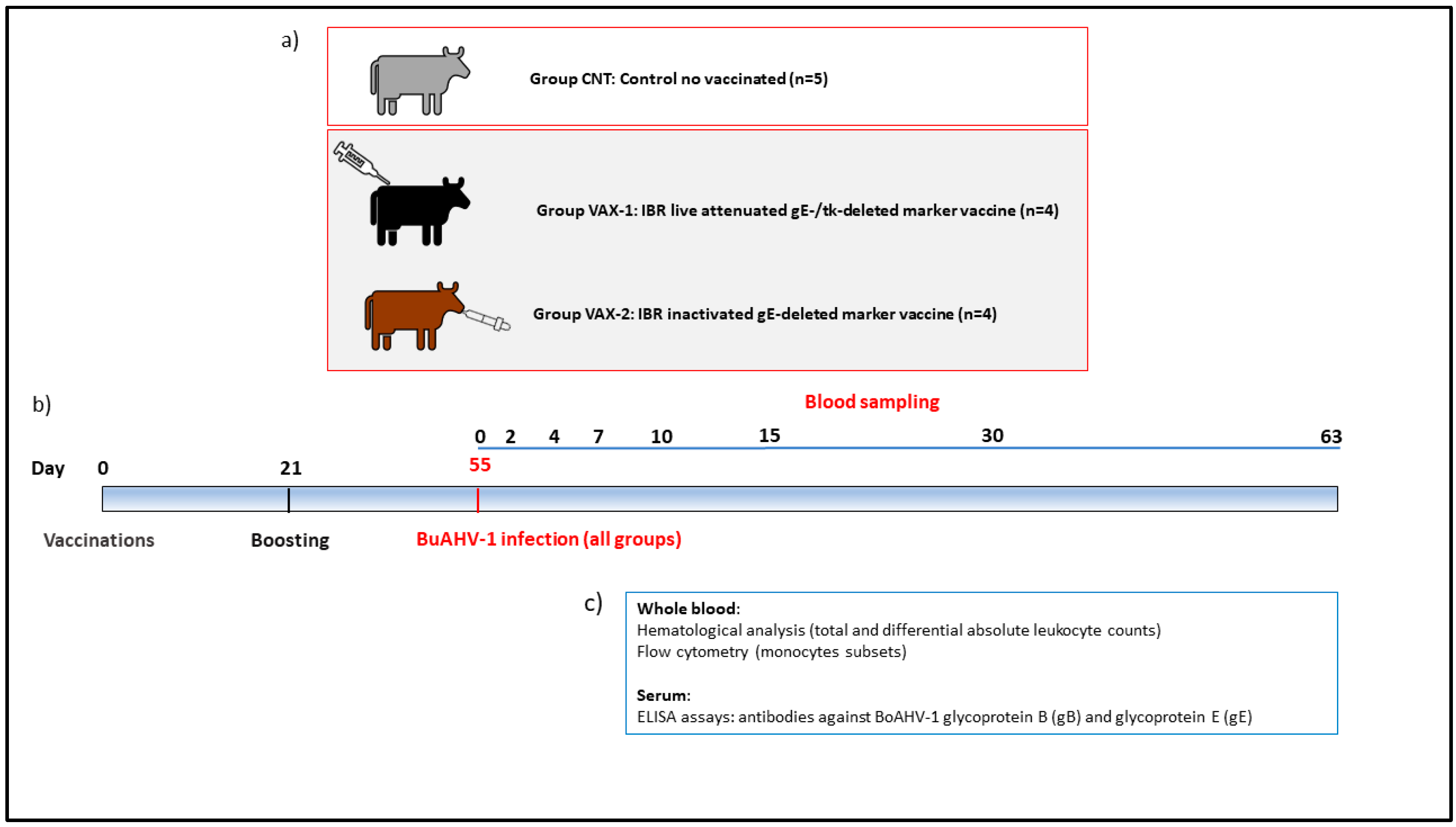 Vaccines 11 01405 g001