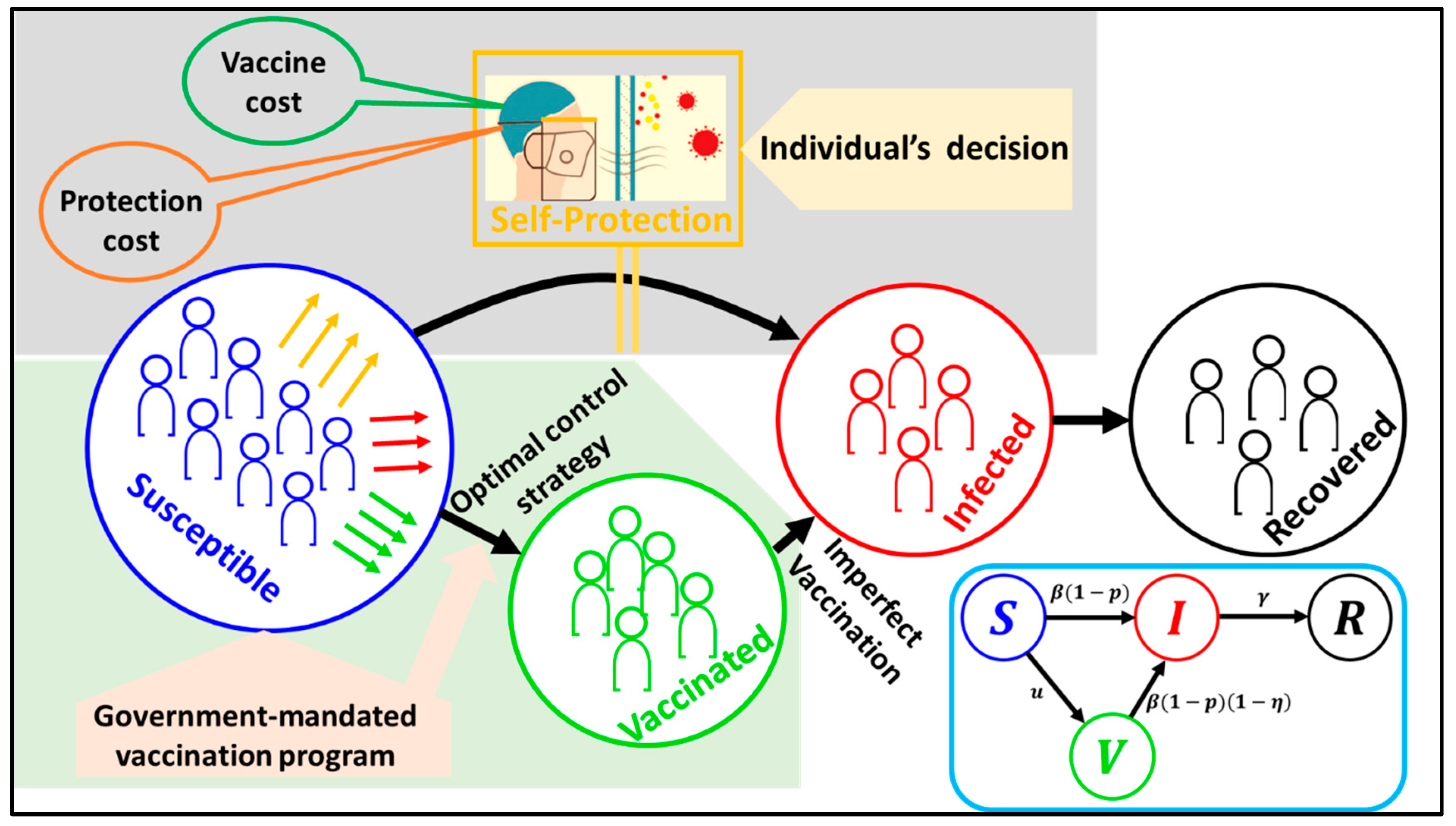Vaccines 11 01421 g001