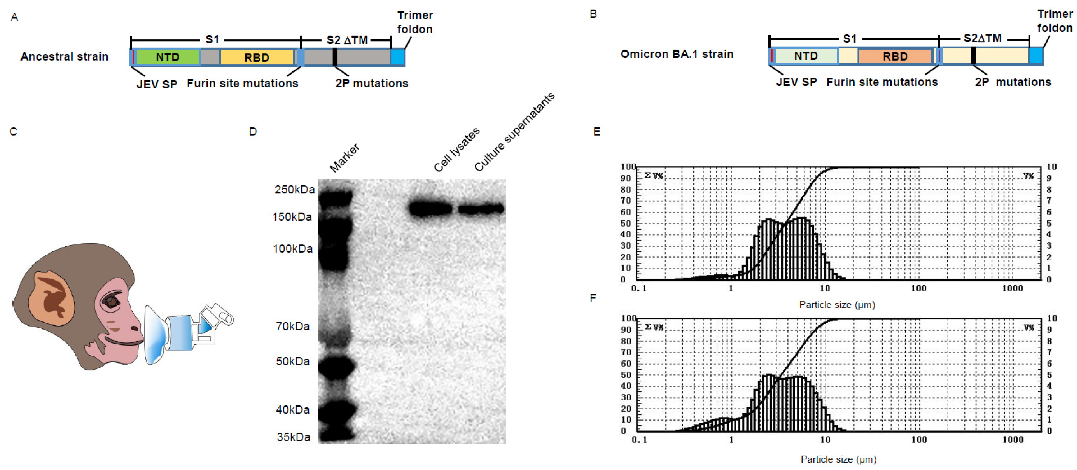 Vaccines 11 01427 g001