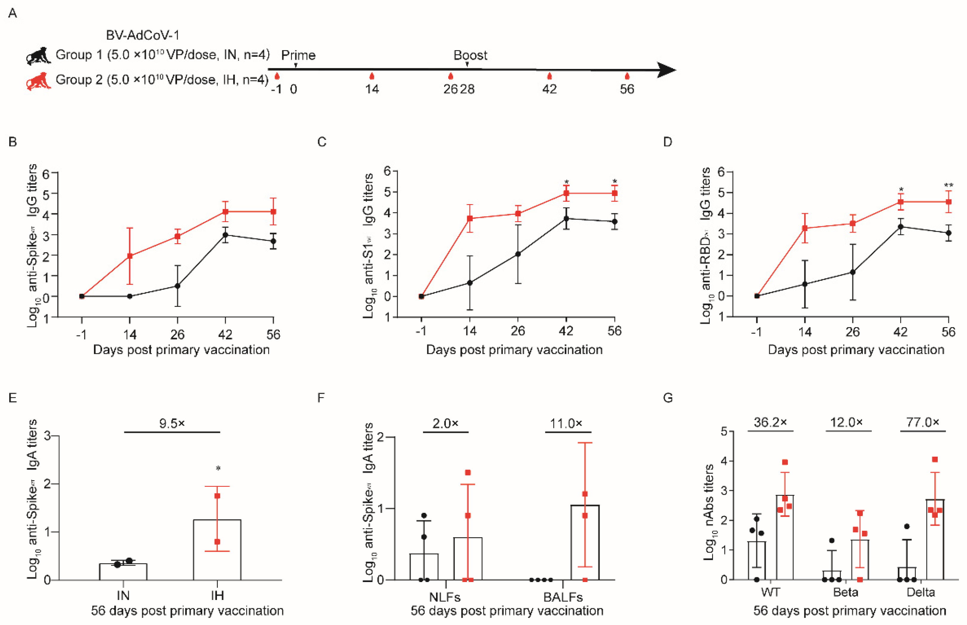 Vaccines 11 01427 g002