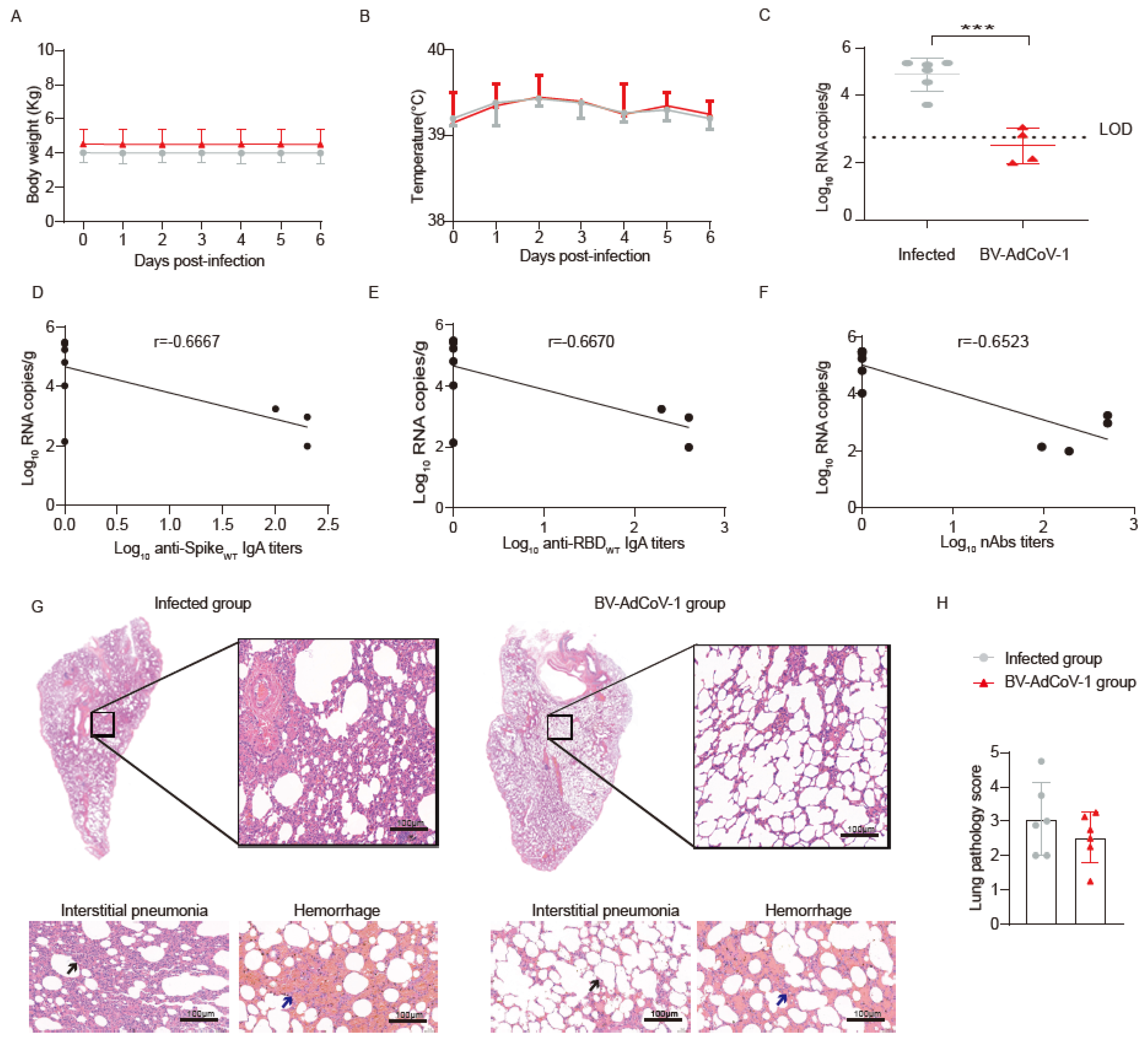 Vaccines 11 01427 g004