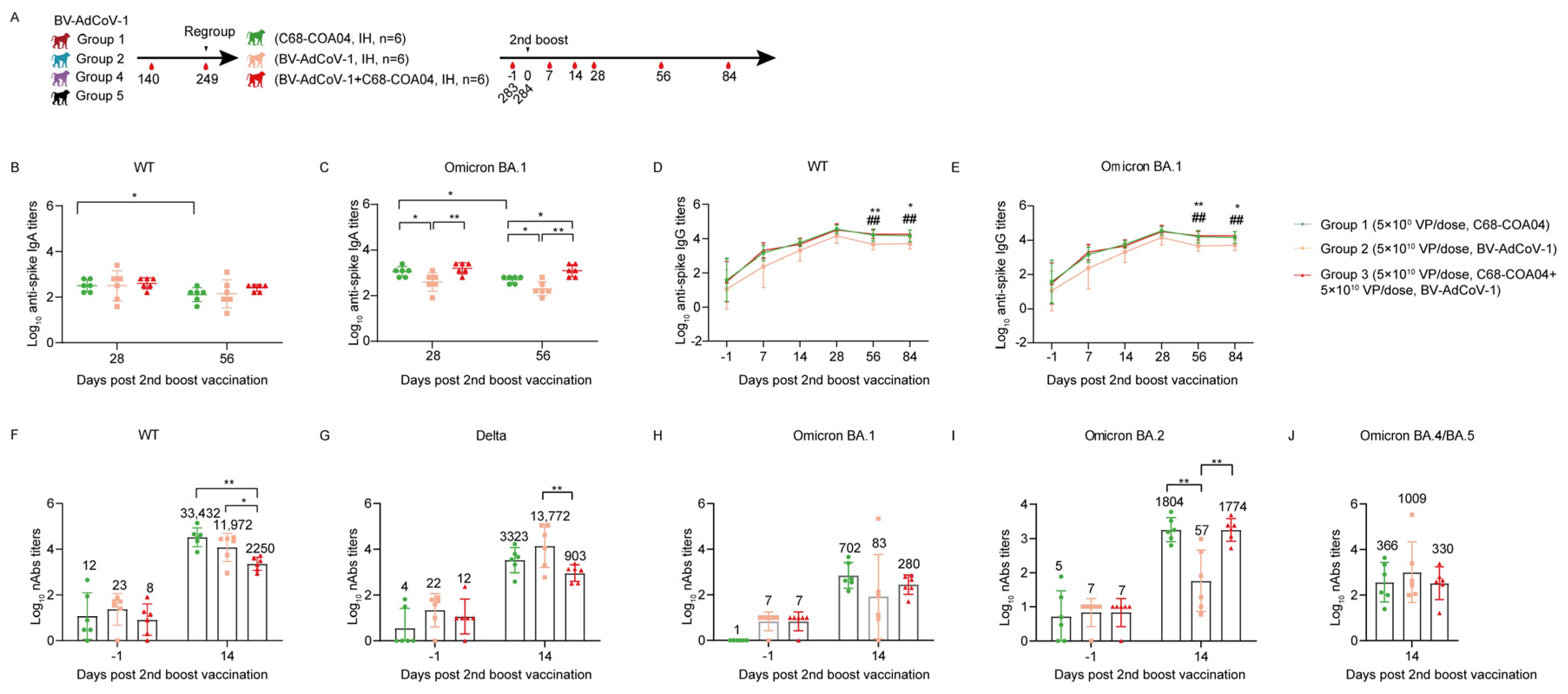 Vaccines 11 01427 g005