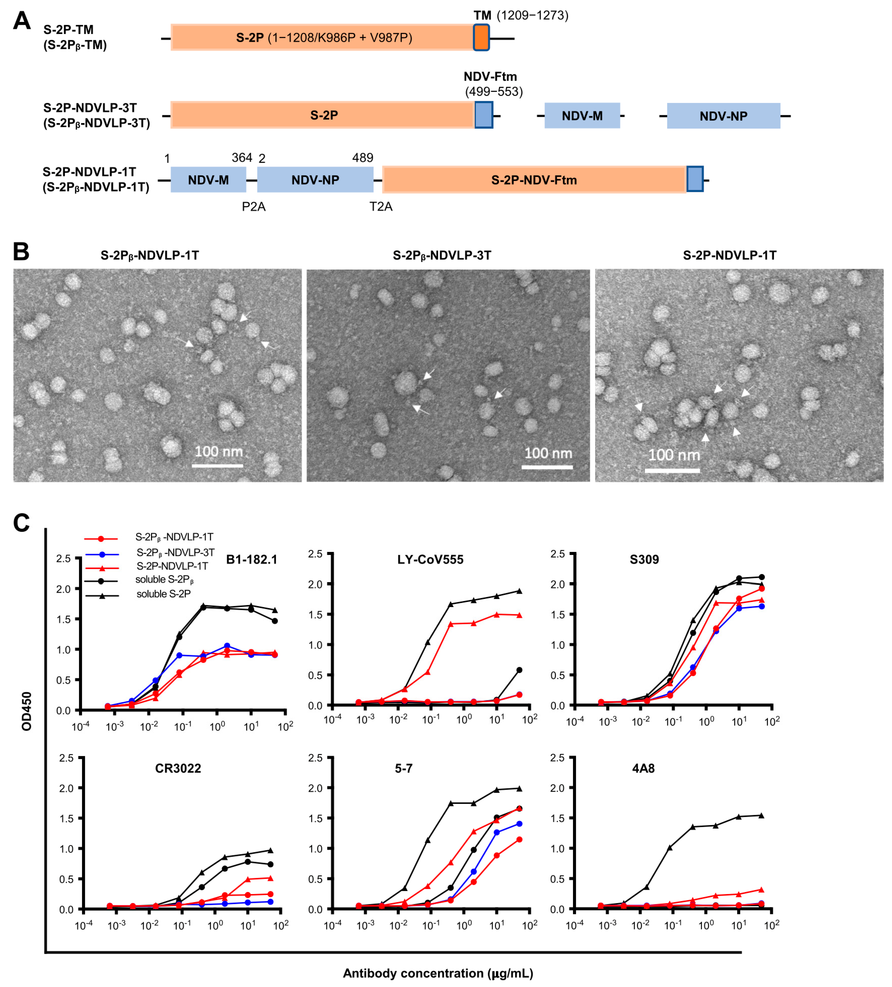Vaccines 11 01438 g001