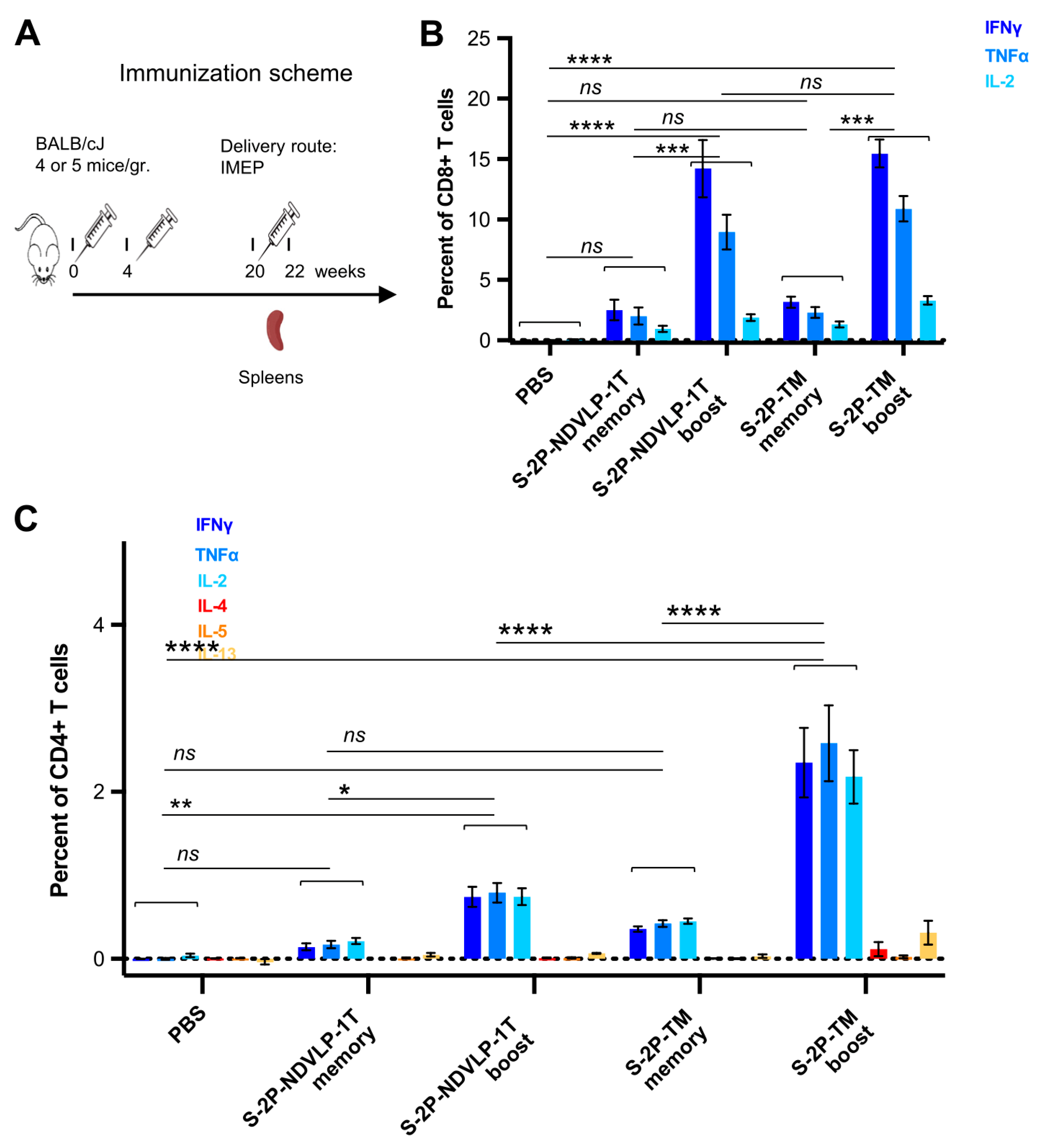 Vaccines 11 01438 g004