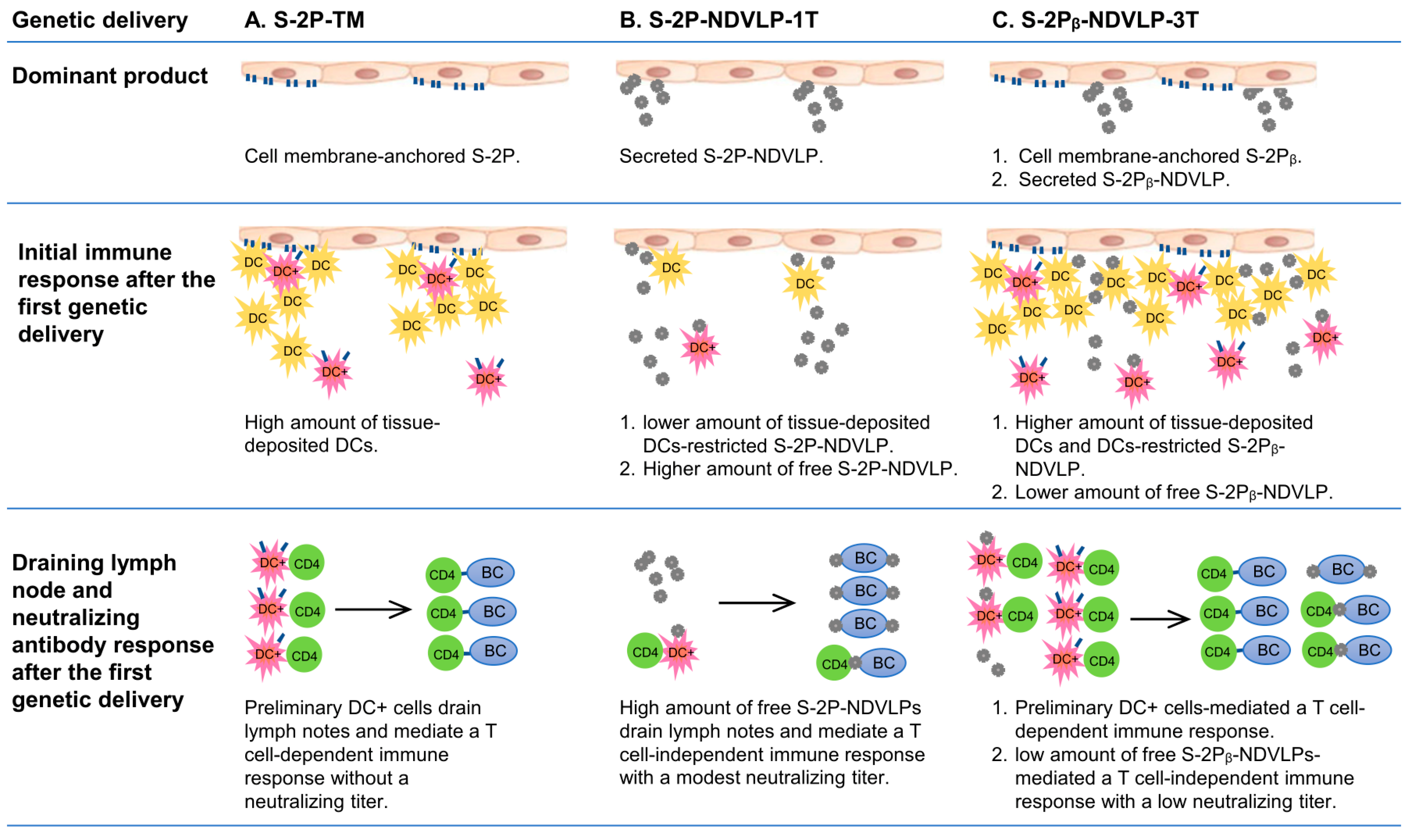 Vaccines 11 01438 g005