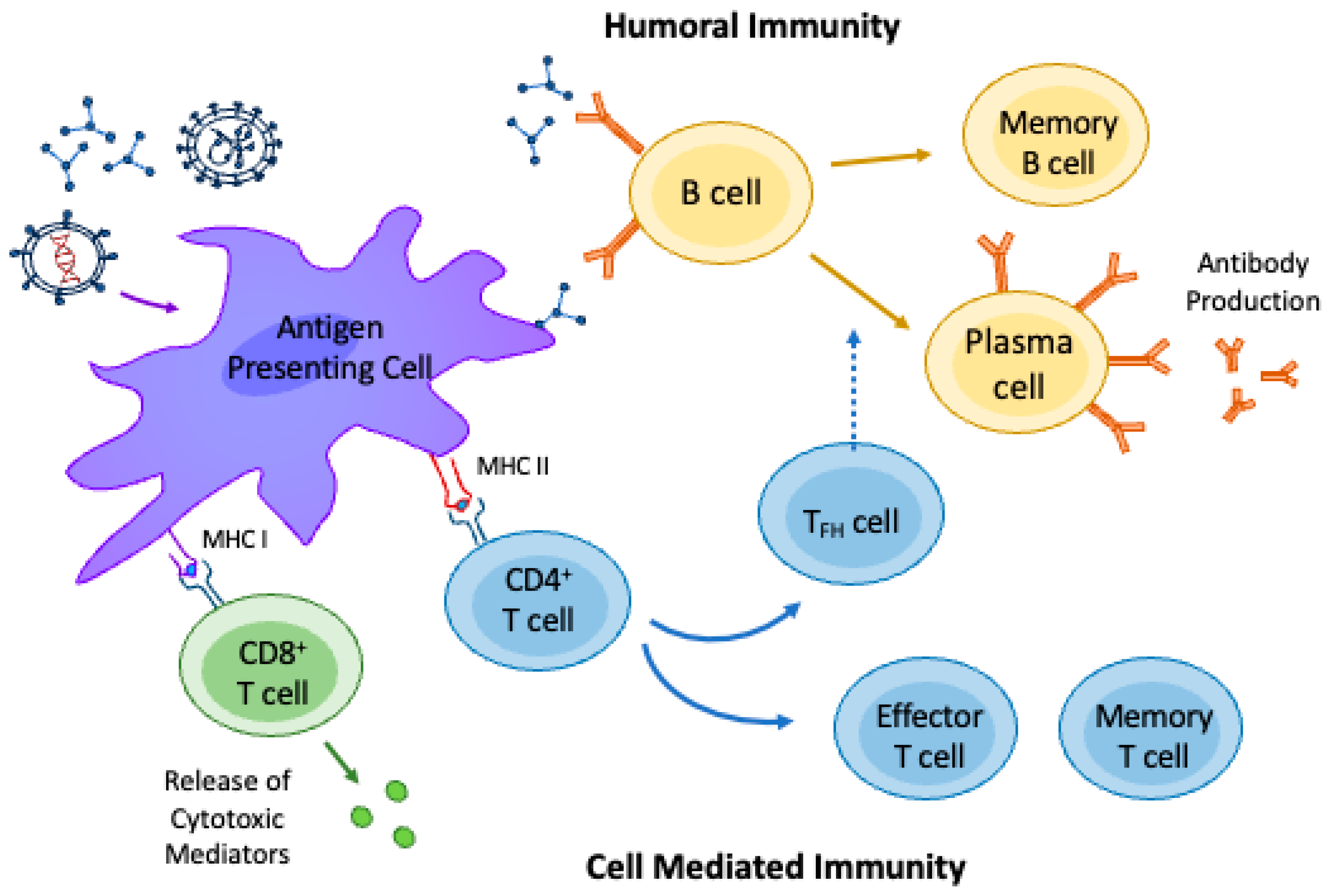 Vaccines 11 01446 g001