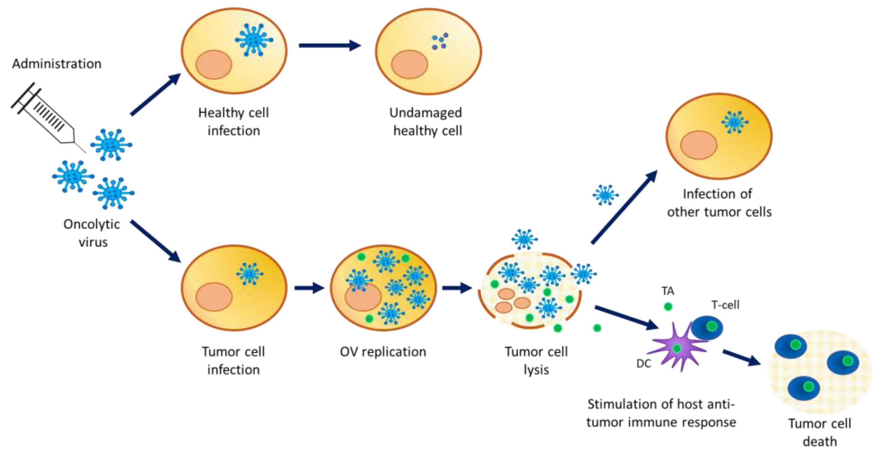 Vaccines 11 01448 g001