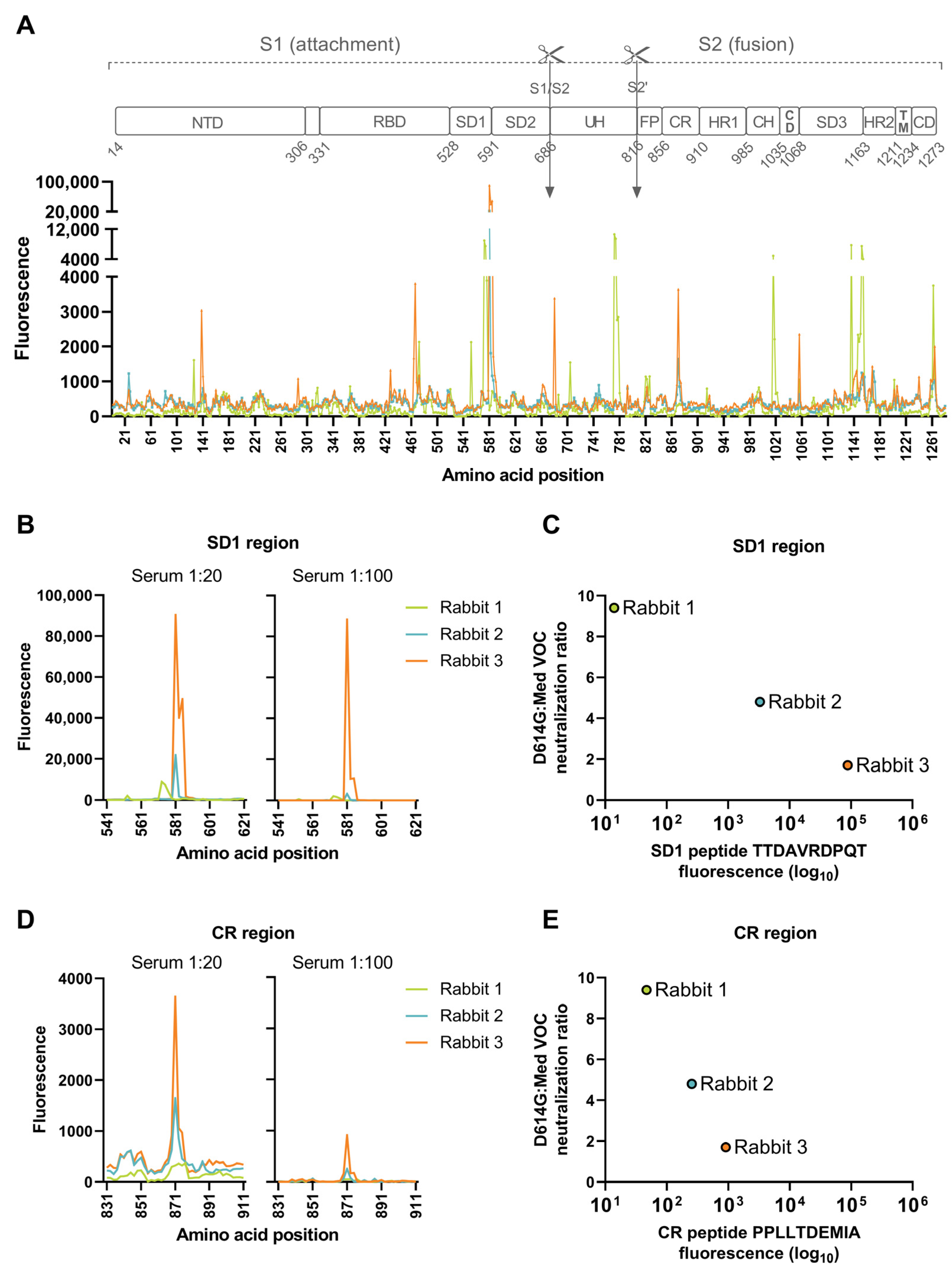 Vaccines 11 01451 g003