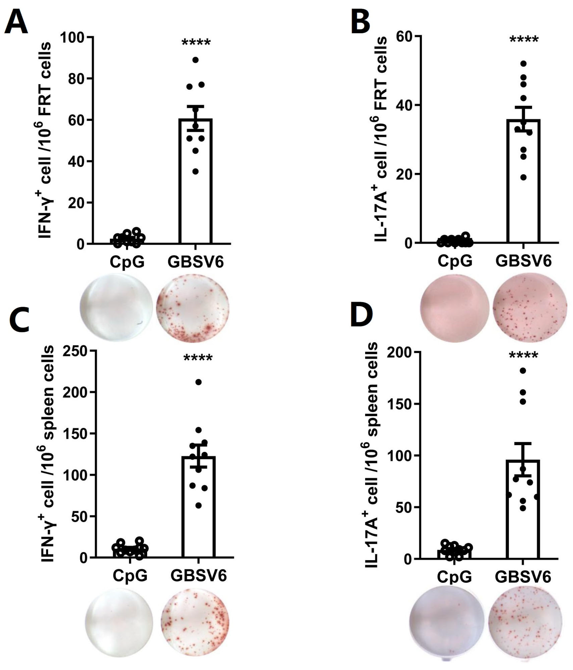 Vaccines 11 01459 g003
