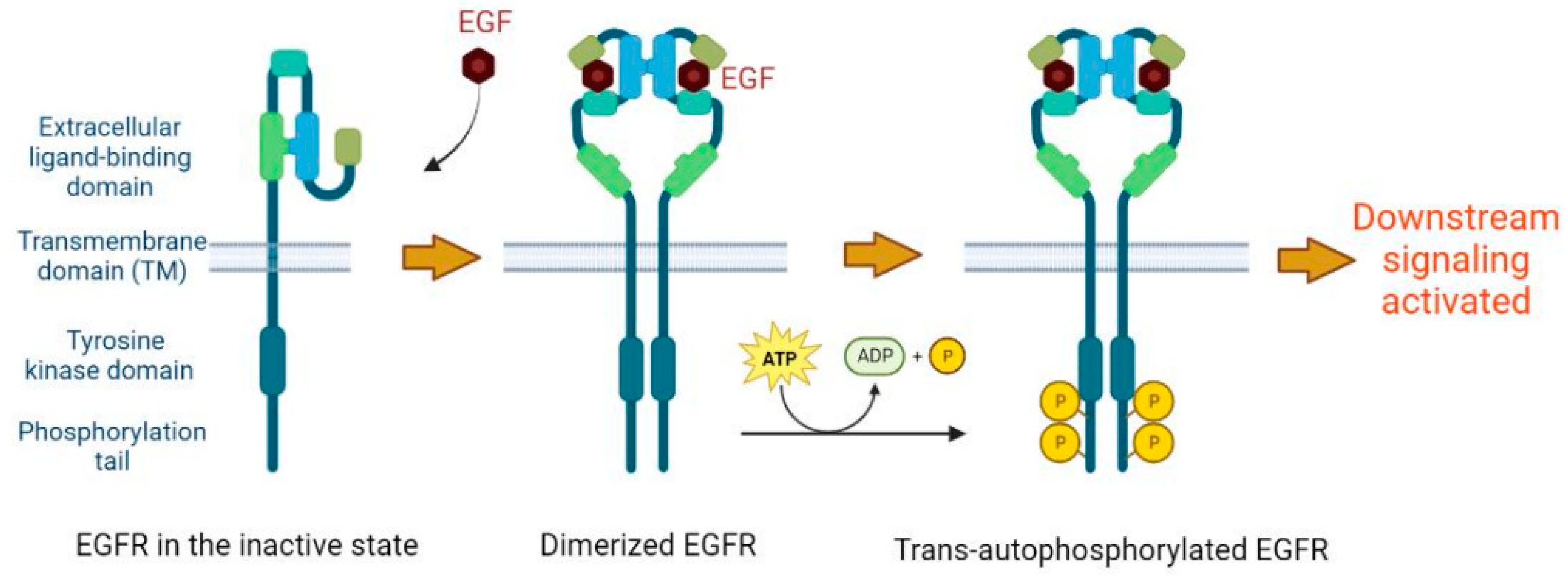 Vaccines 11 01460 g001