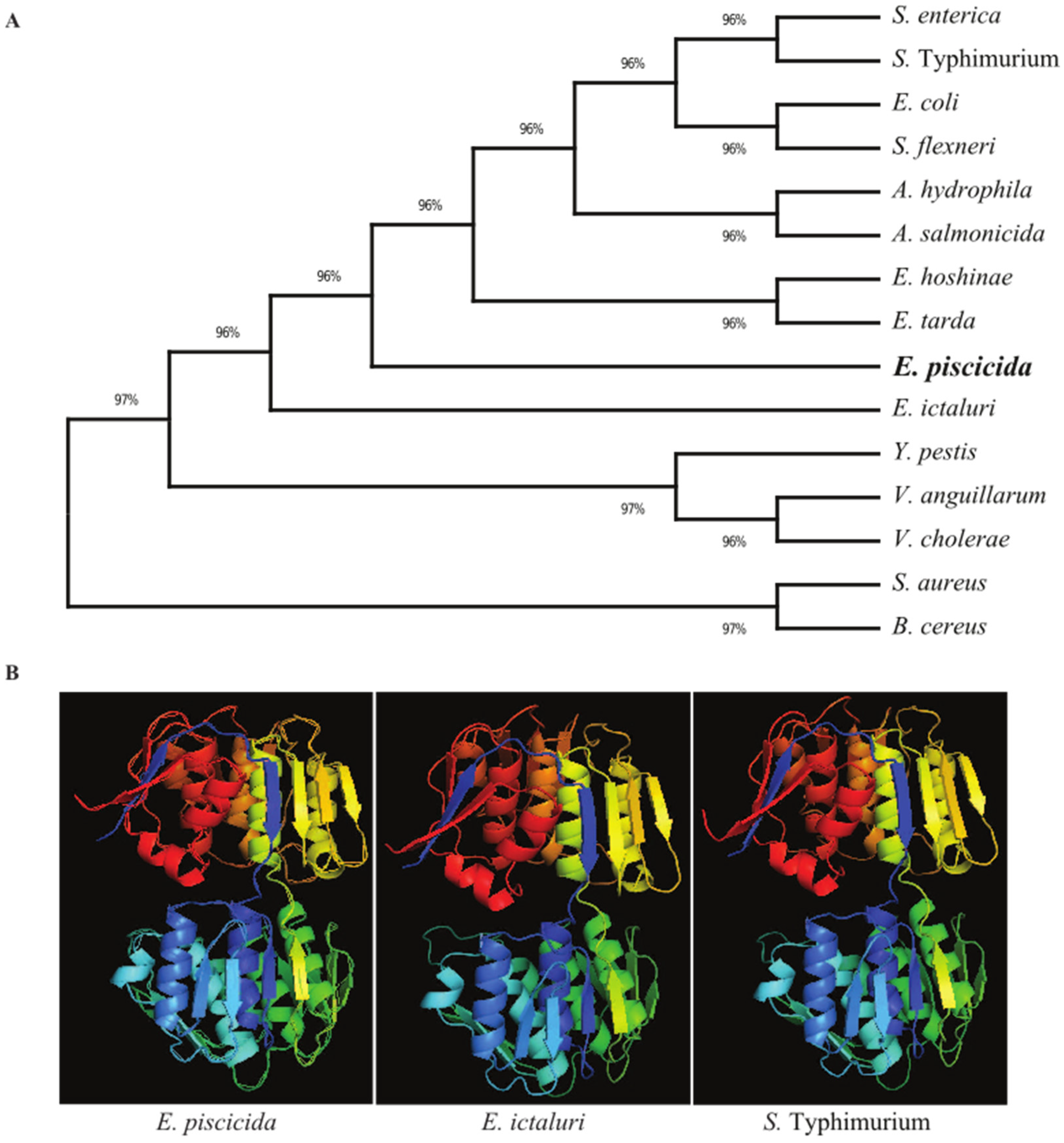 Vaccines 11 01470 g001
