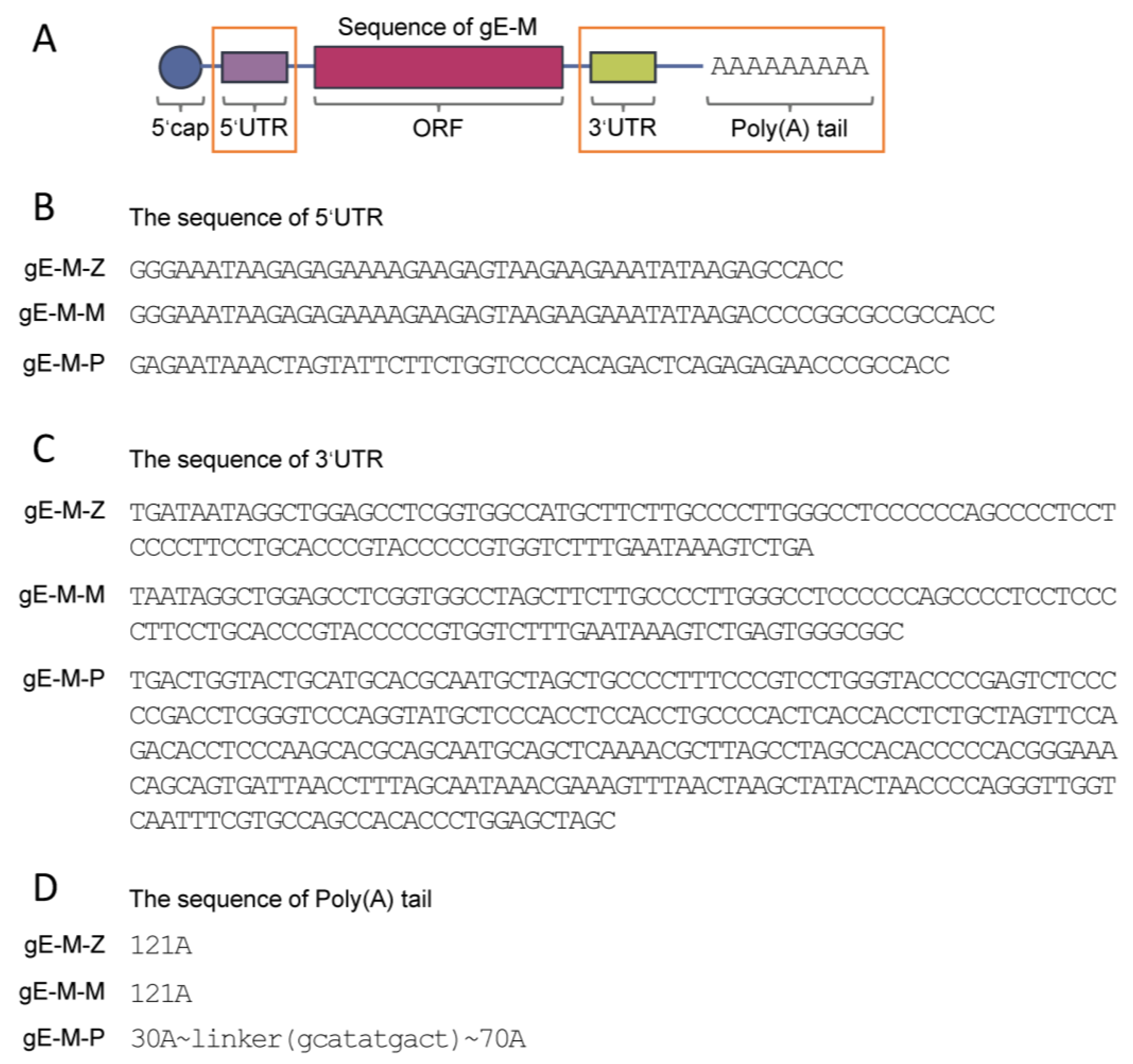 Vaccines 11 01475 g001 Vaccines 11 01475 g001