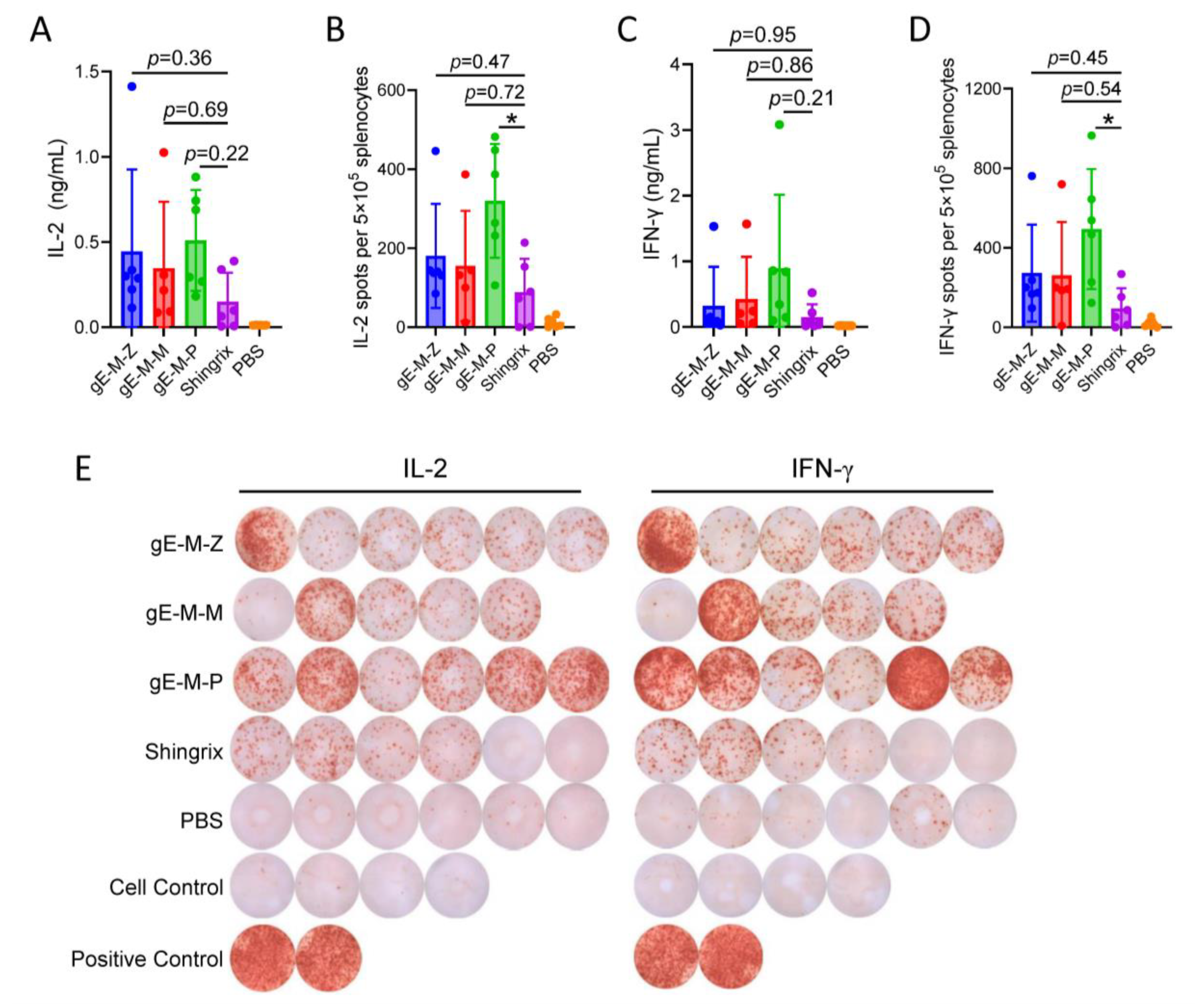 Vaccines 11 01475 g004 Vaccines 11 01475 g004