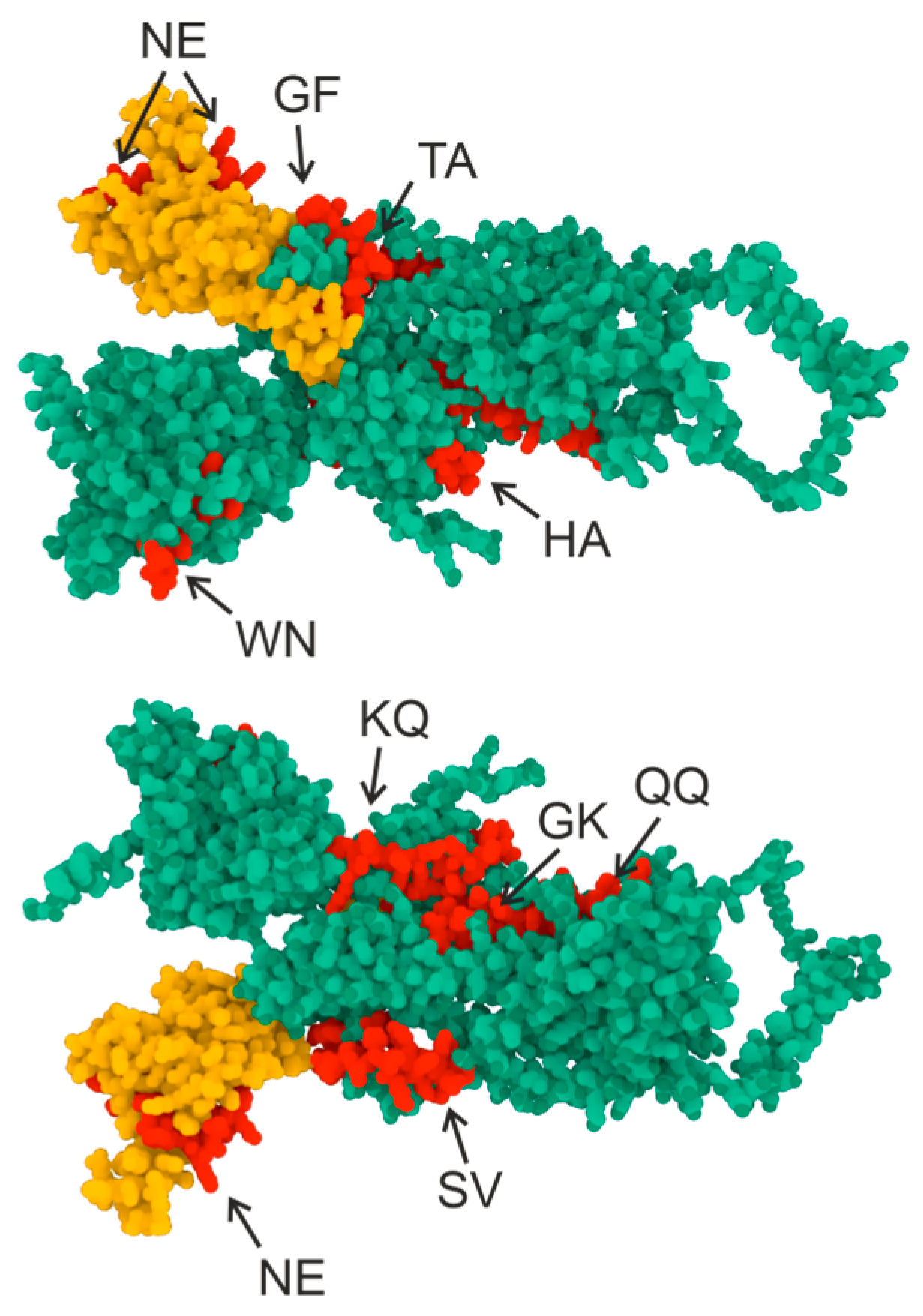 Vaccines 11 01494 g002 Vaccines 11 01494 g002