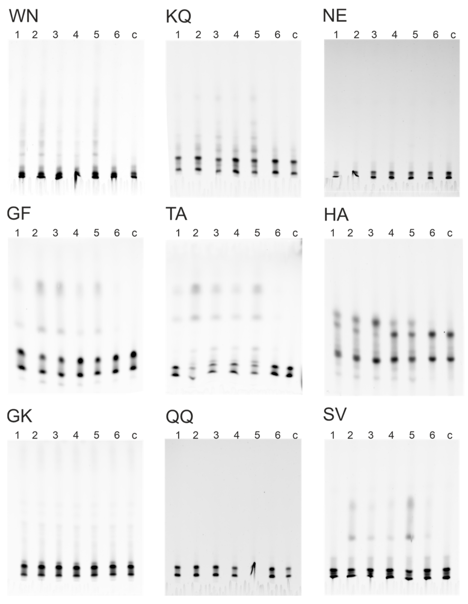 Vaccines 11 01494 g003 Vaccines 11 01494 g003