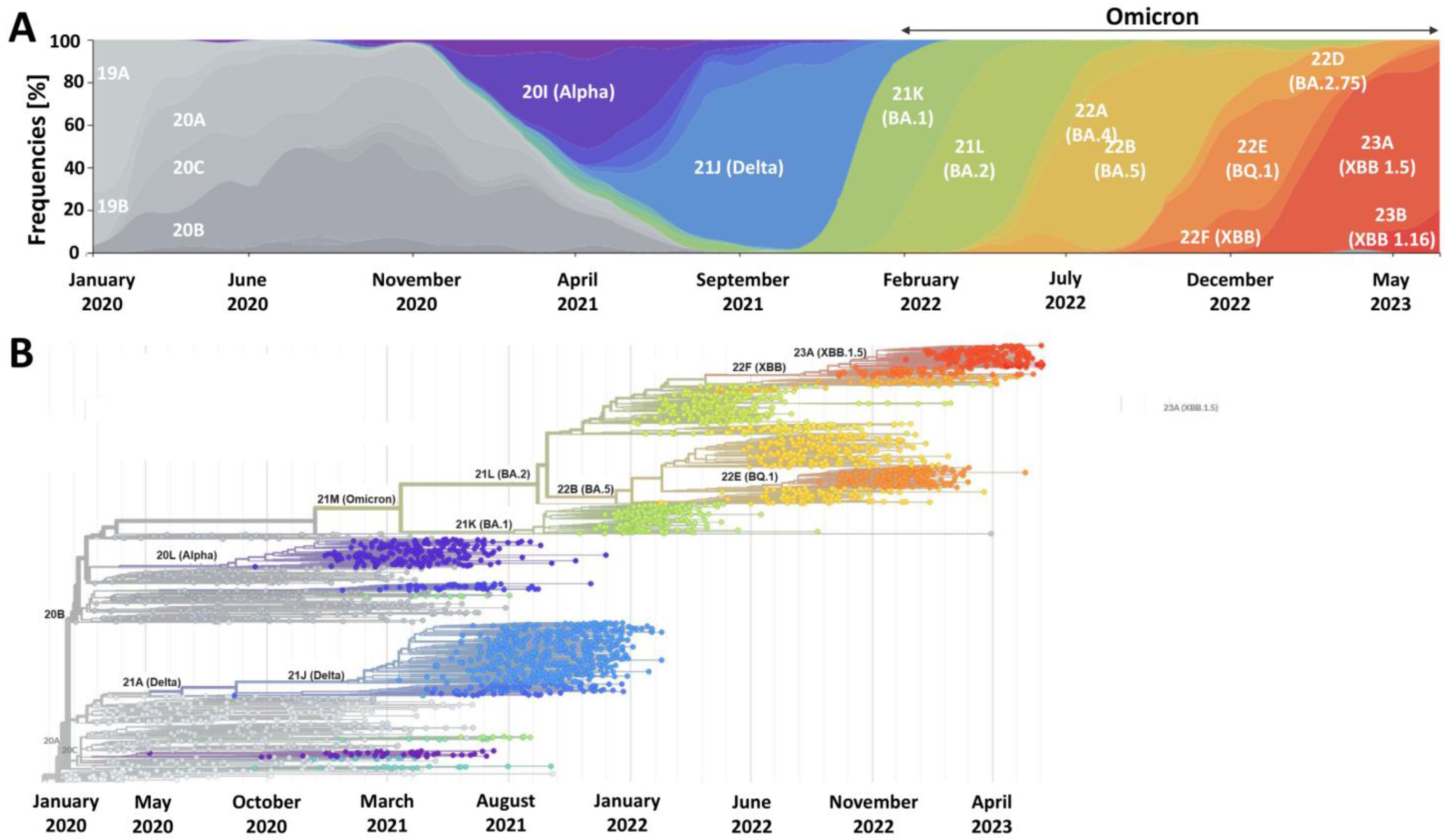 Vaccines 11 01502 g001