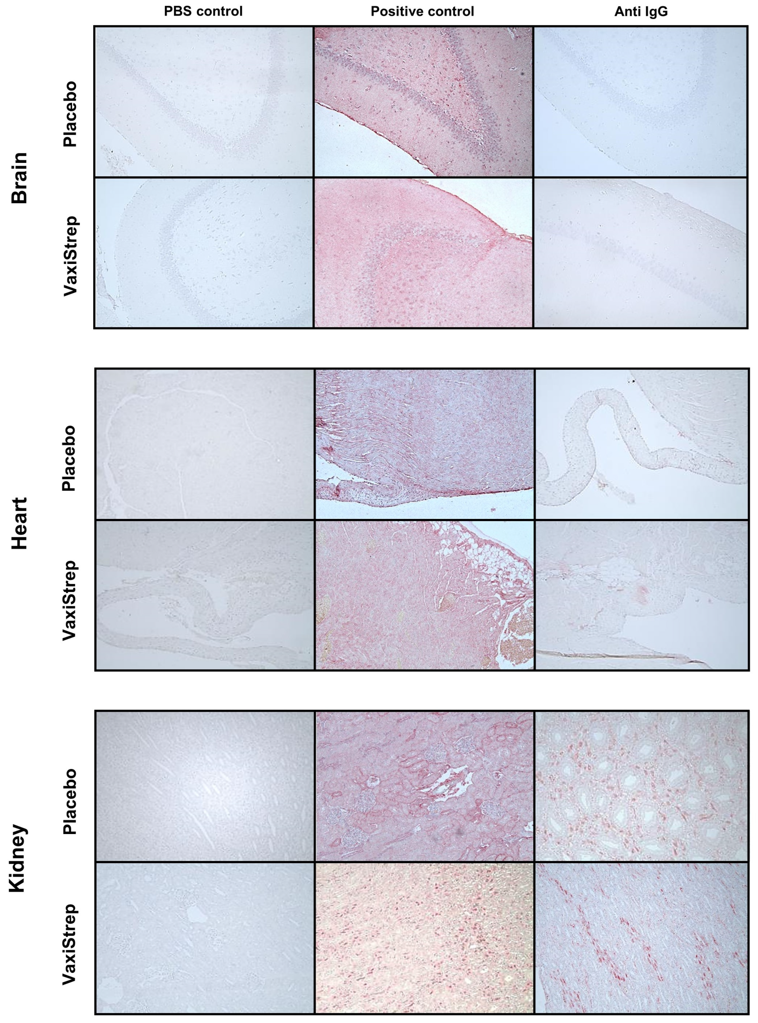 Vaccines 11 01504 g003