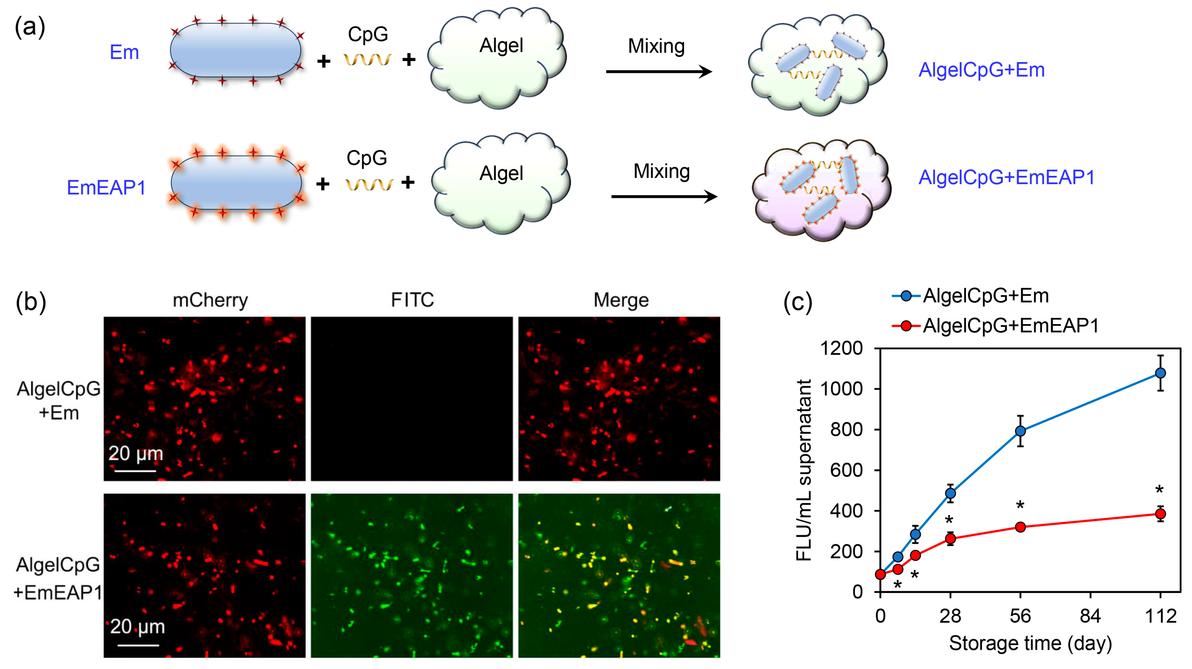 Vaccines 11 01521 g002