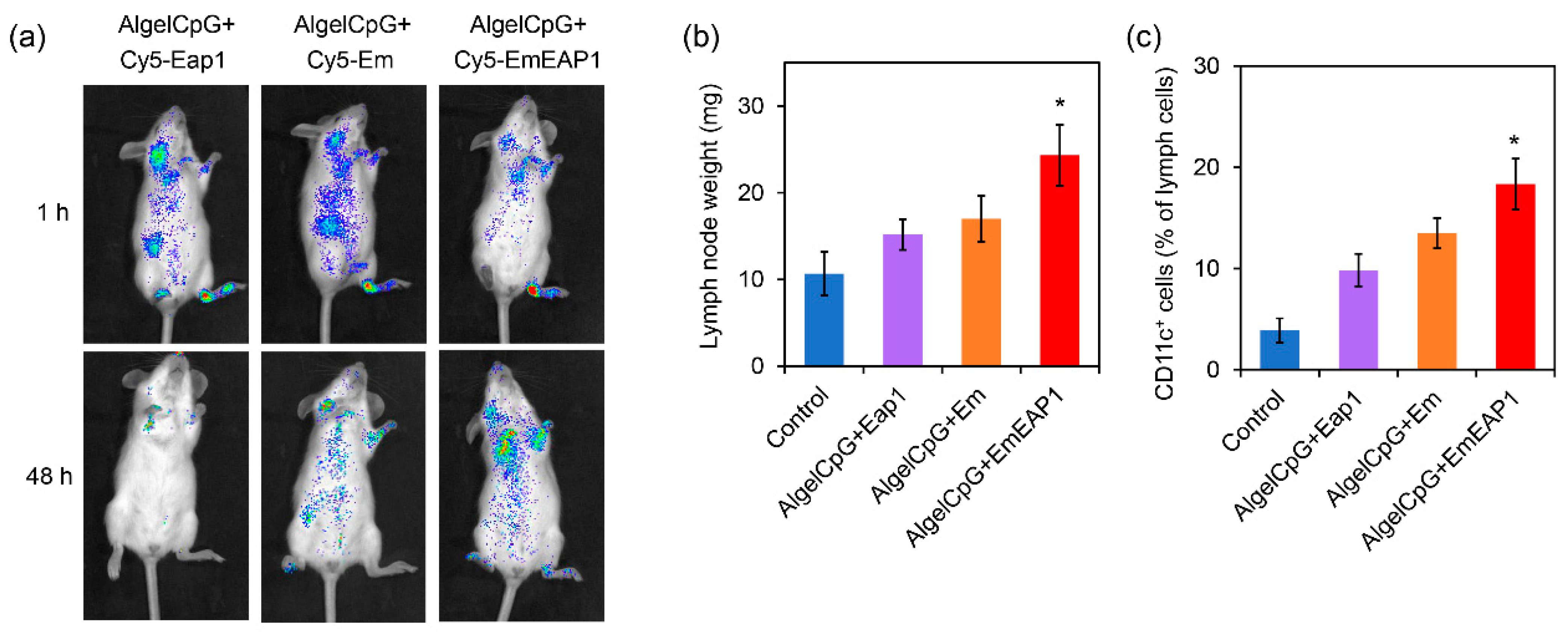 Vaccines 11 01521 g003