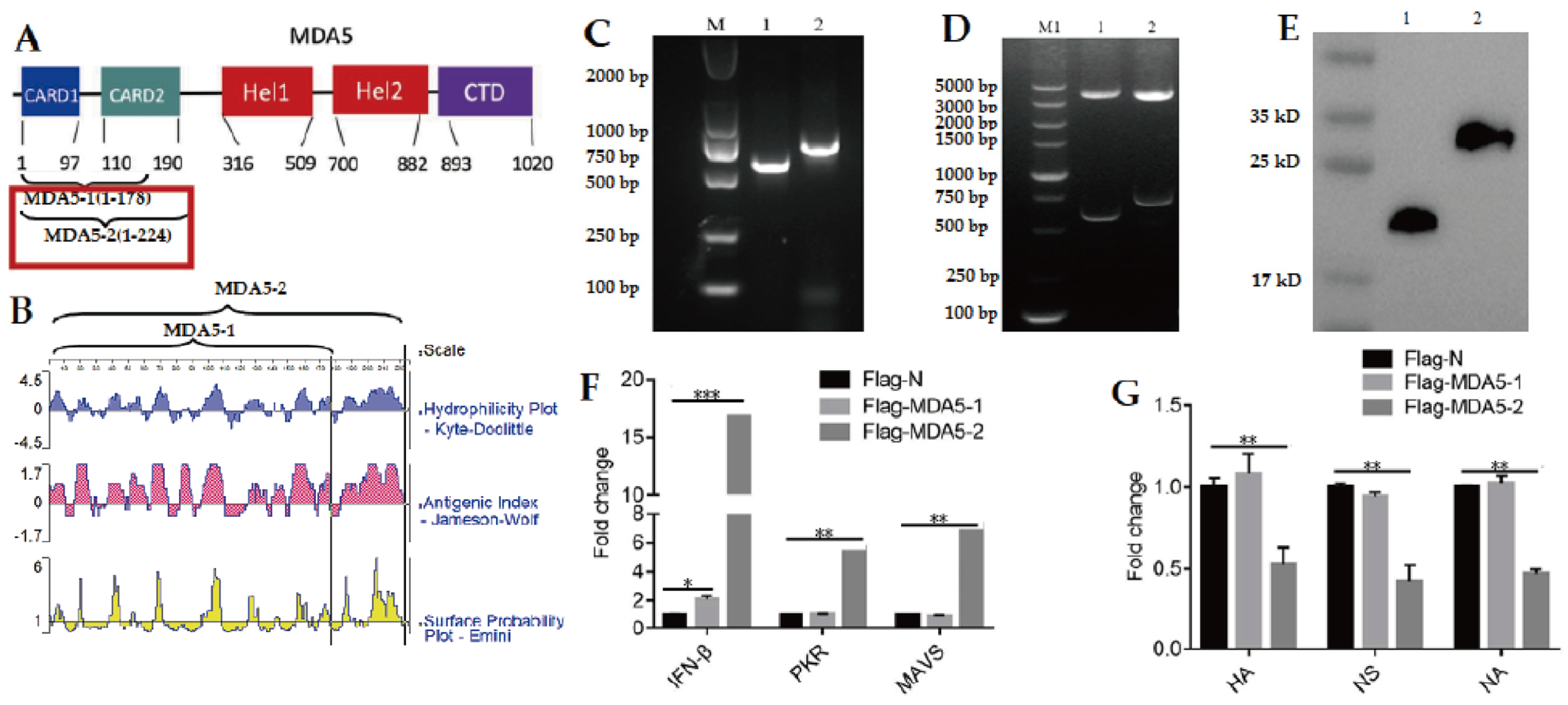 Vaccines 11 01542 g001