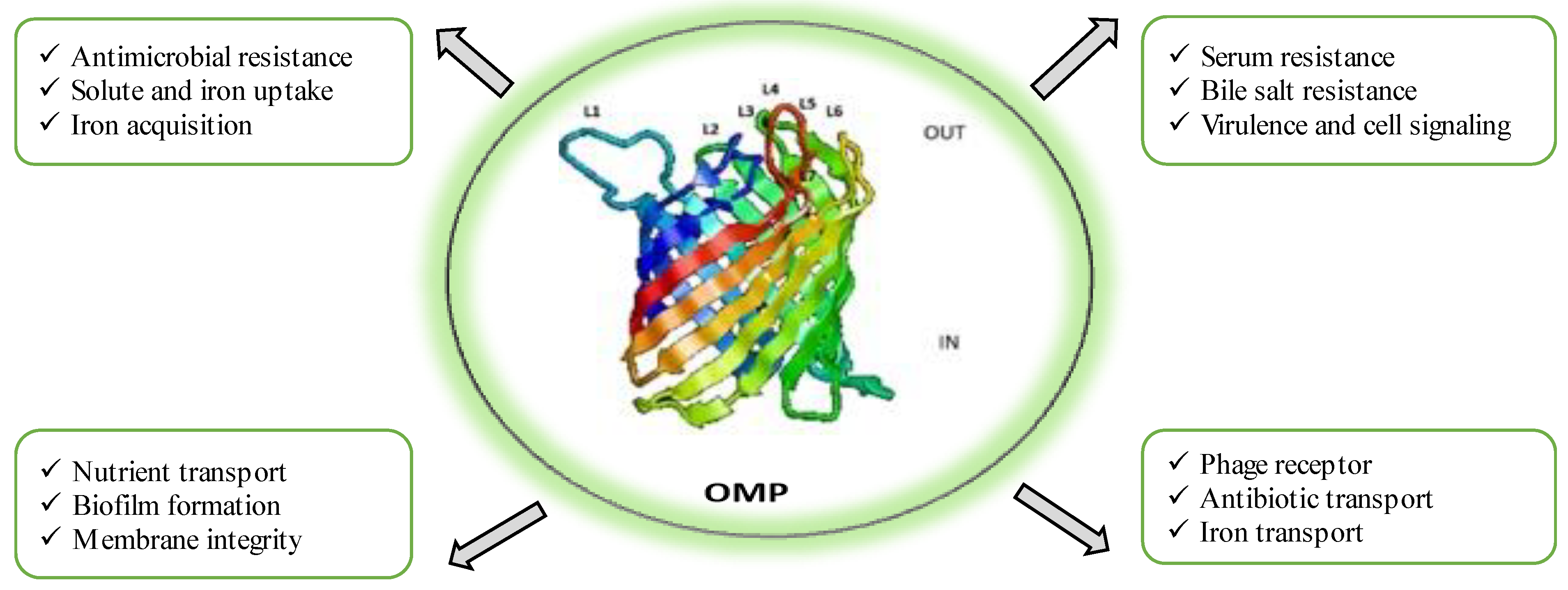 Vaccines 11 01555 g001