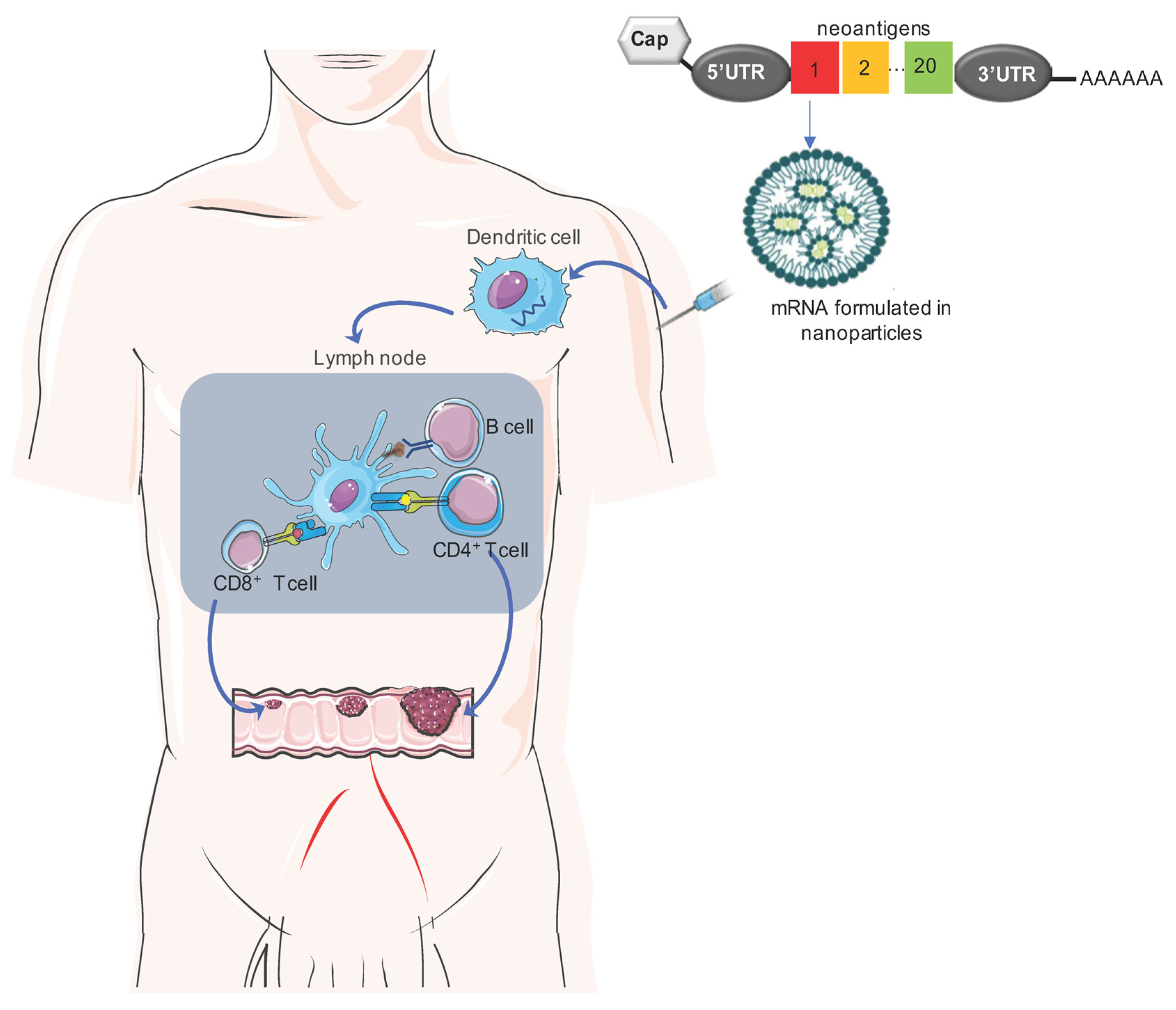 Vaccines 11 01599 g001