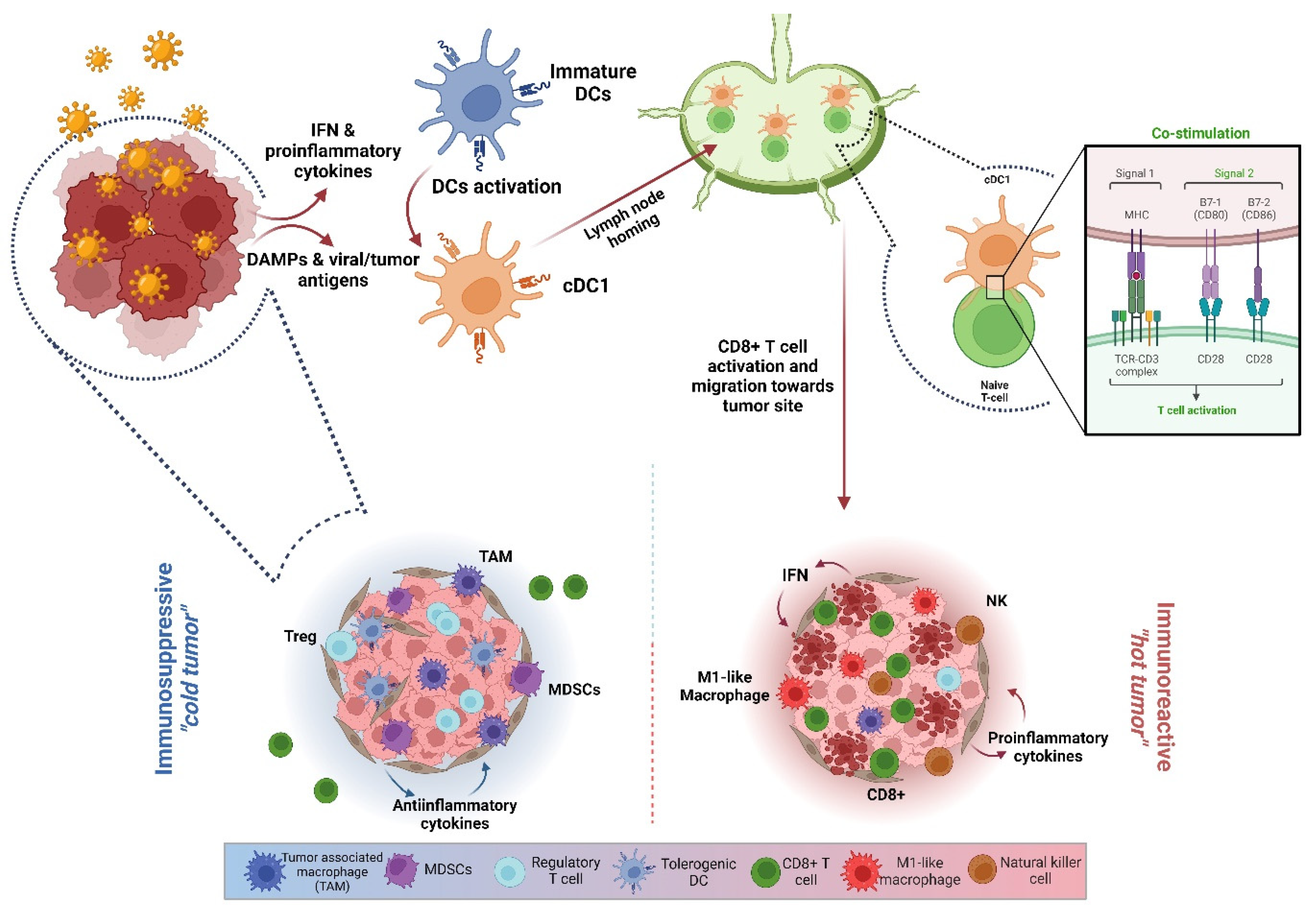 Vaccines 11 01617 g001