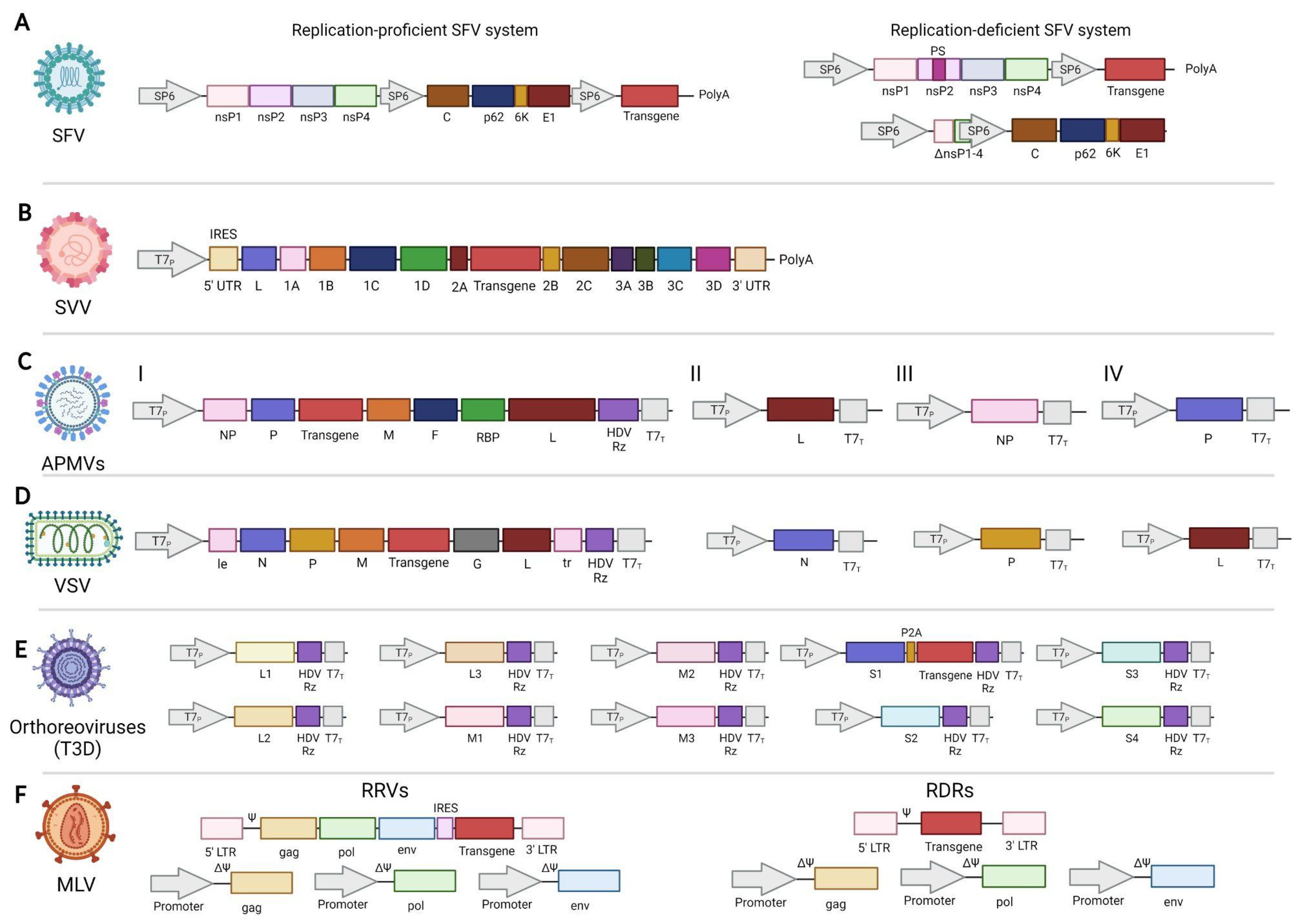 Vaccines 11 01617 g002