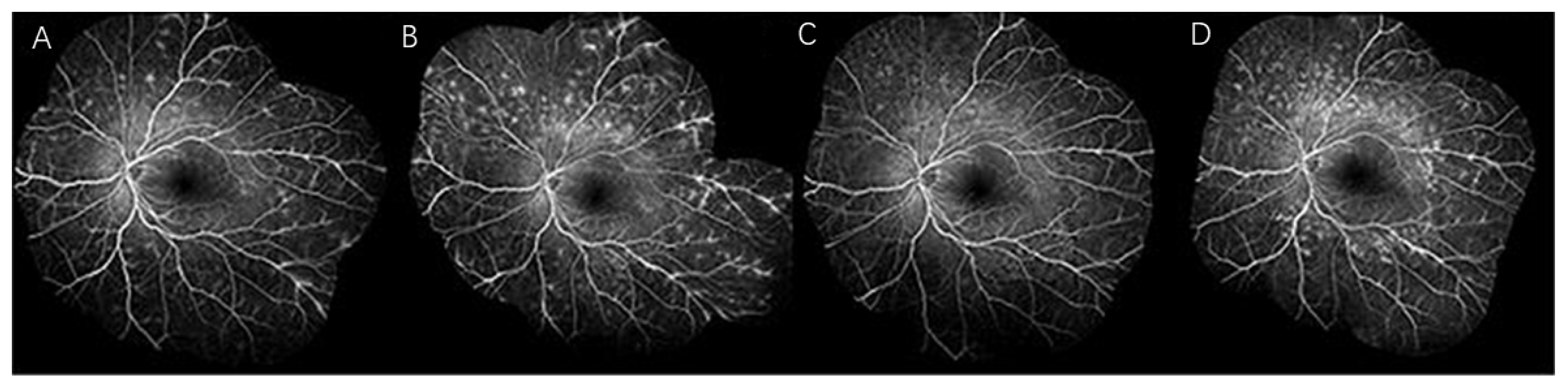 Vaccines 11 01626 g001
