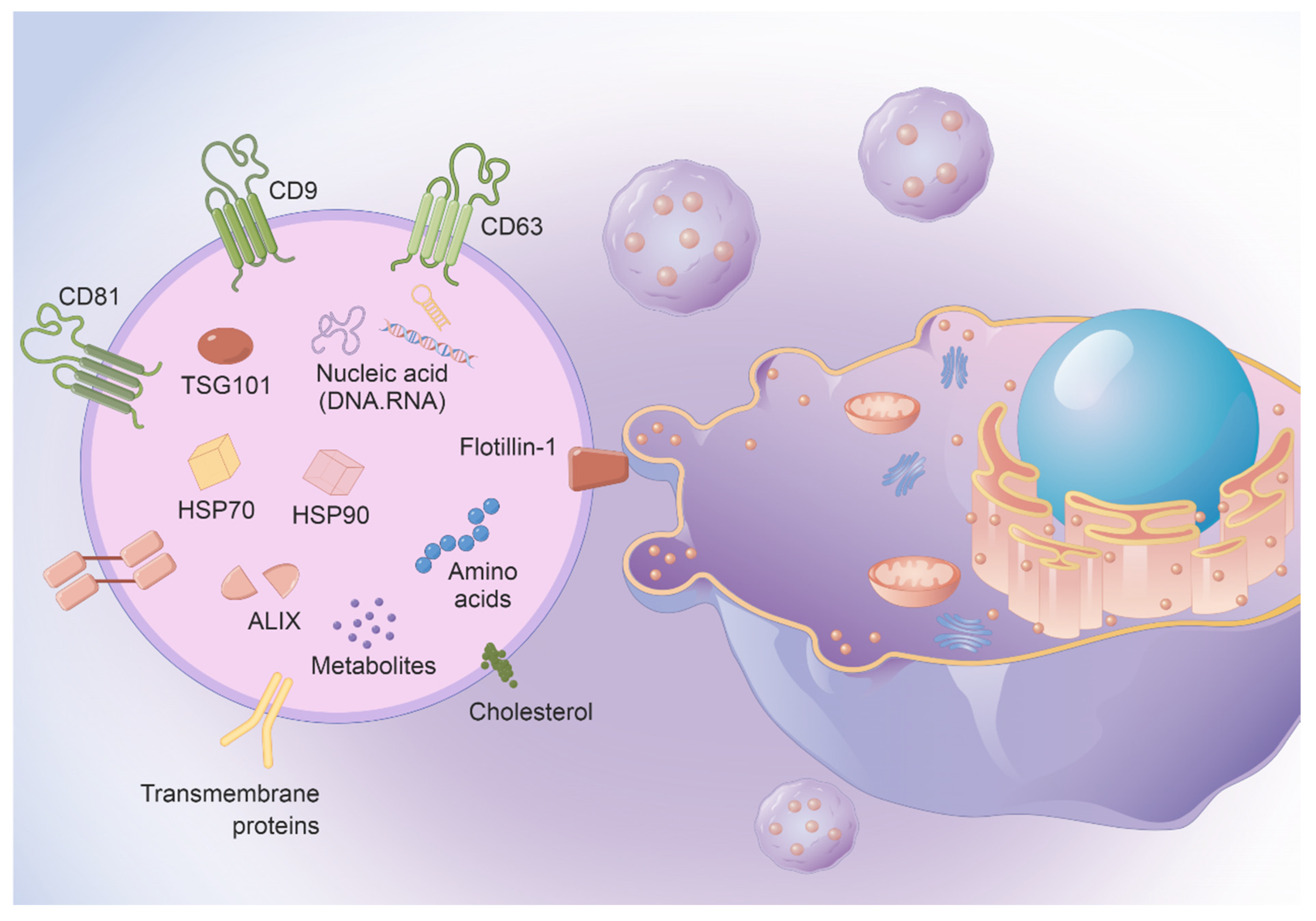 Vaccines 11 01631 g001