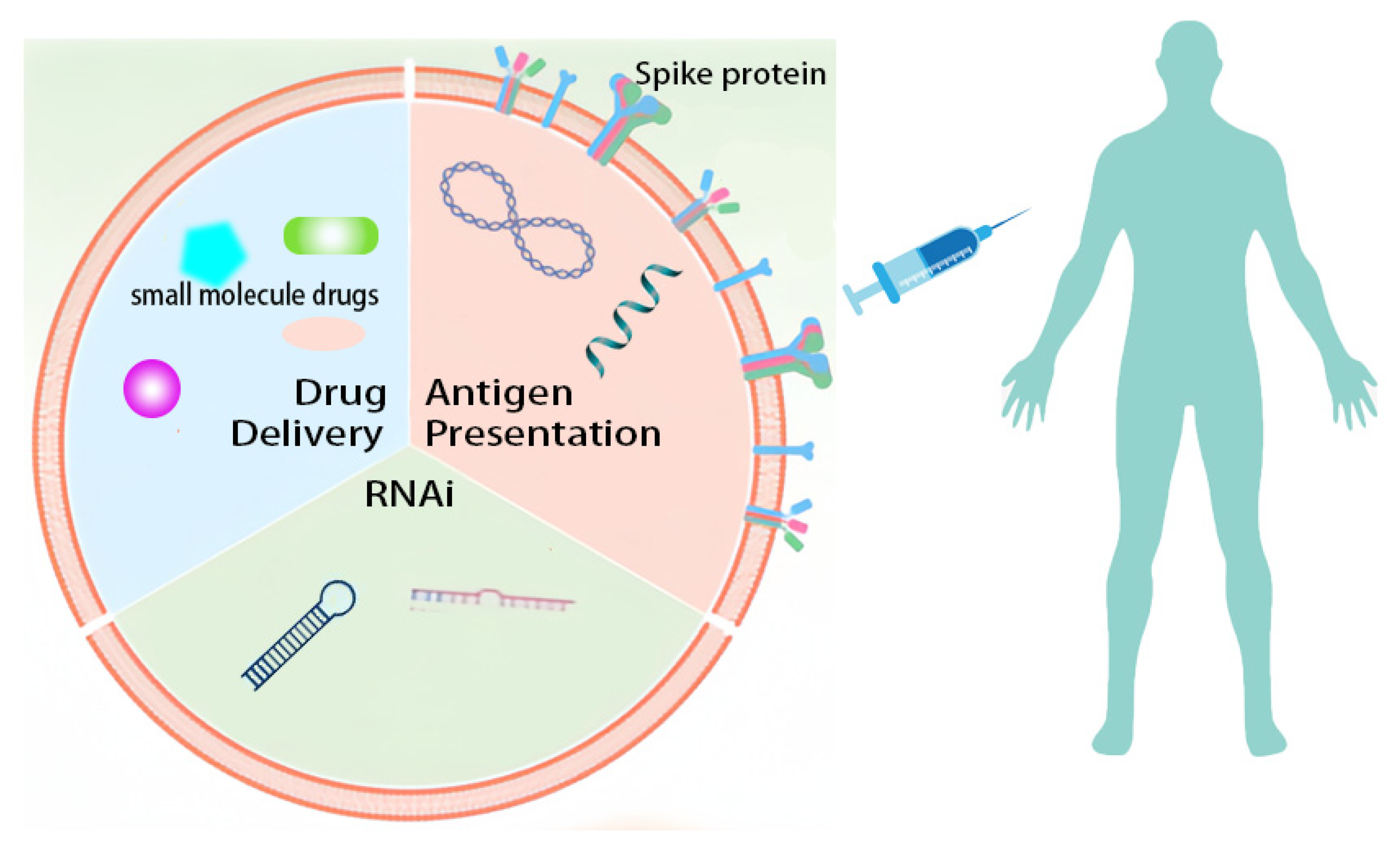 Vaccines 11 01631 g002