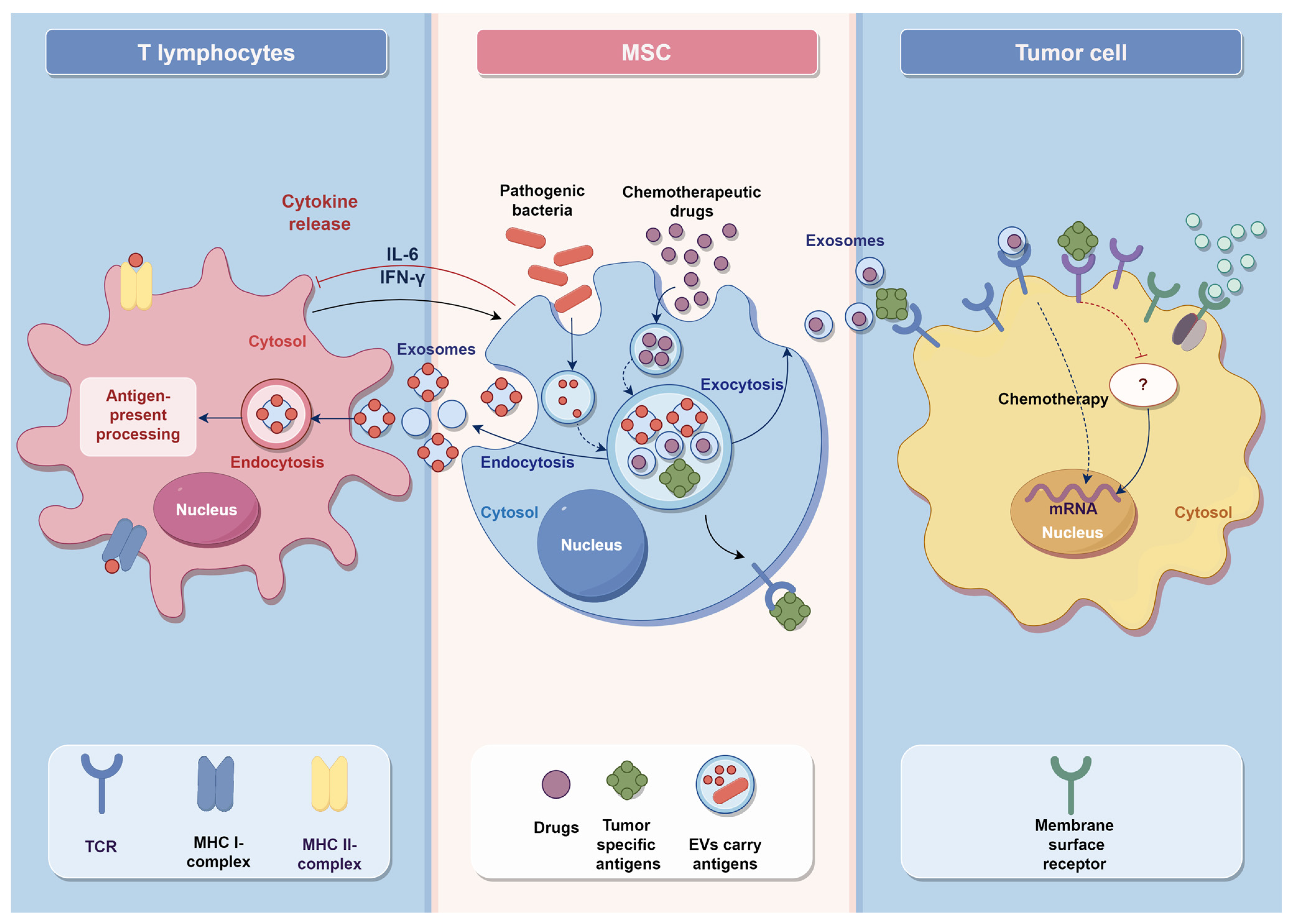 Vaccines 11 01631 g003