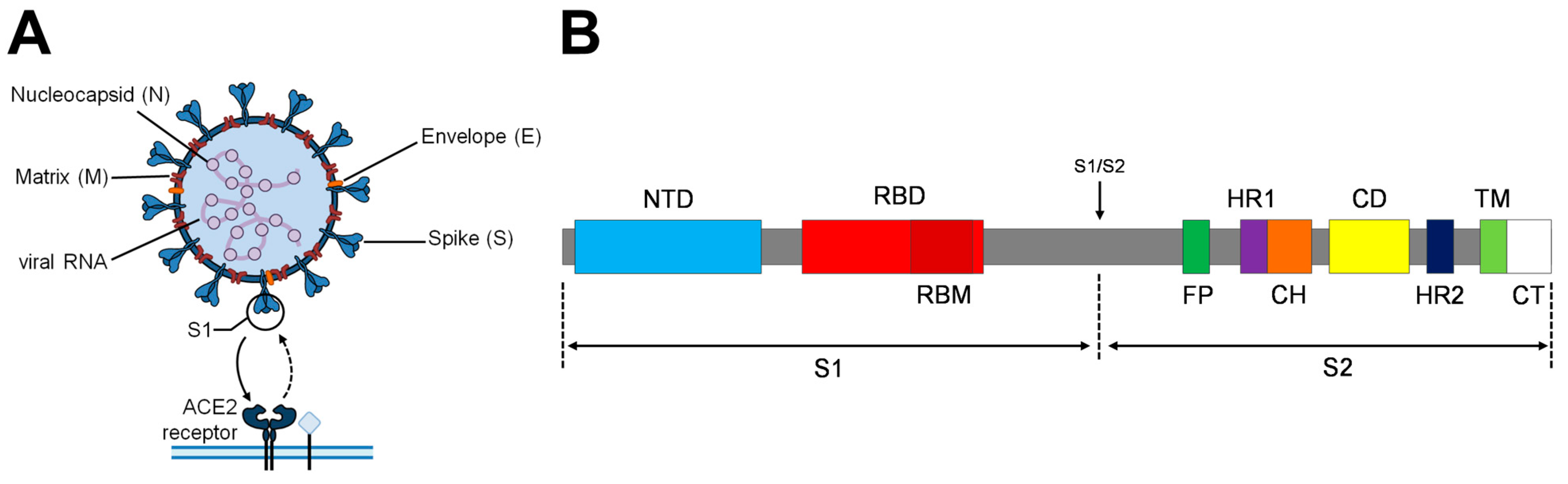Vaccines 11 01641 g001