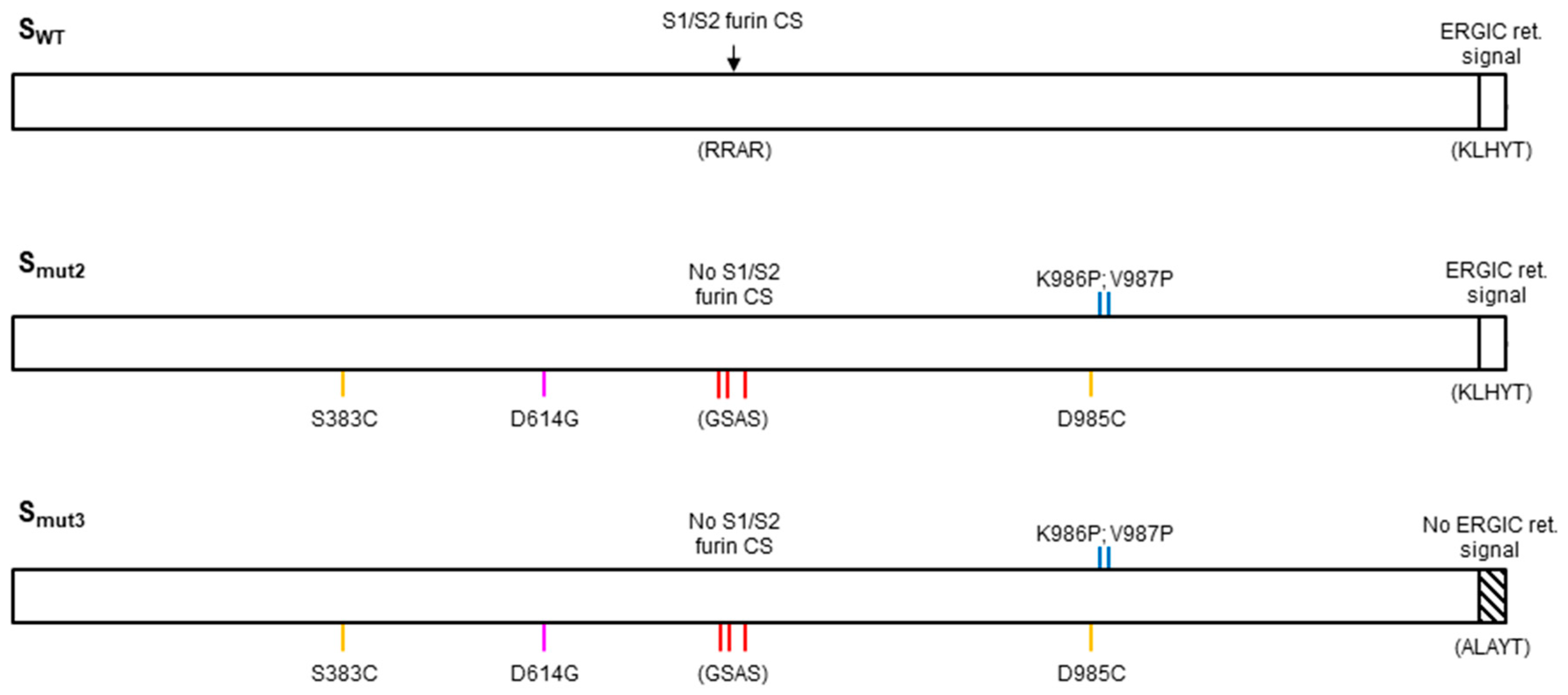 Vaccines 11 01641 g002
