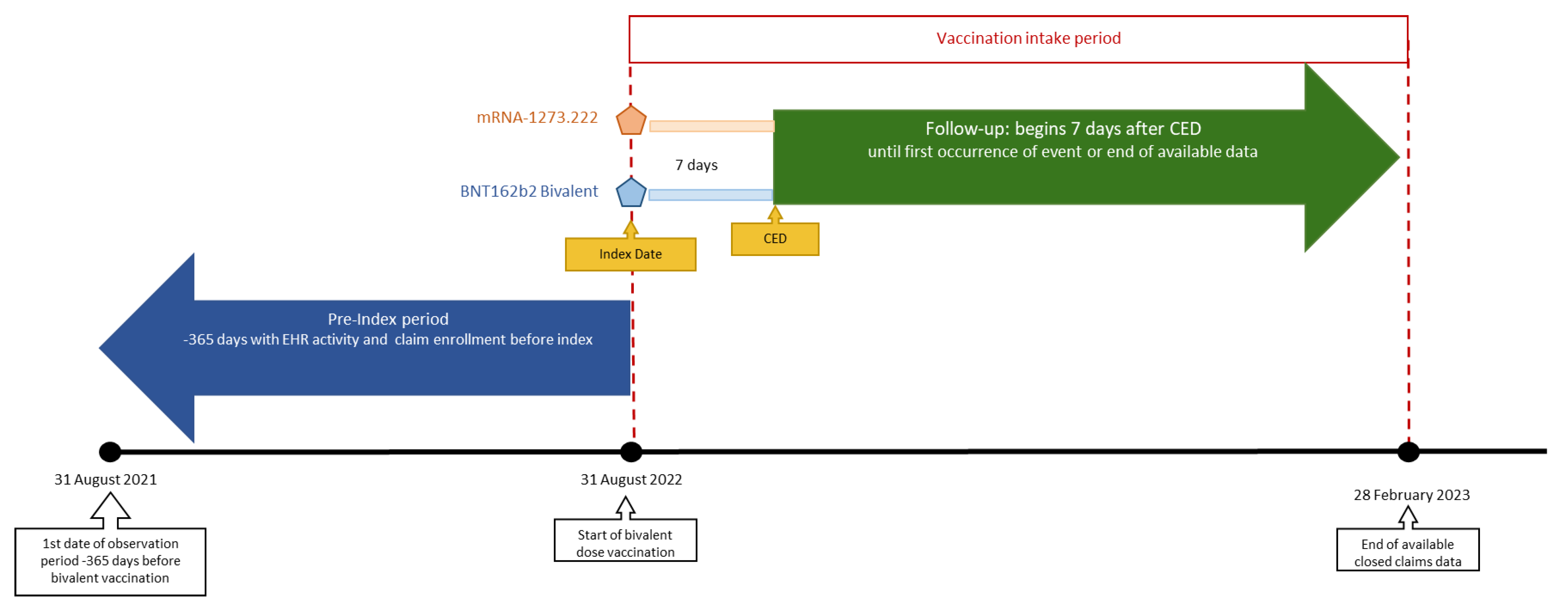 Vaccines 11 01711 g001