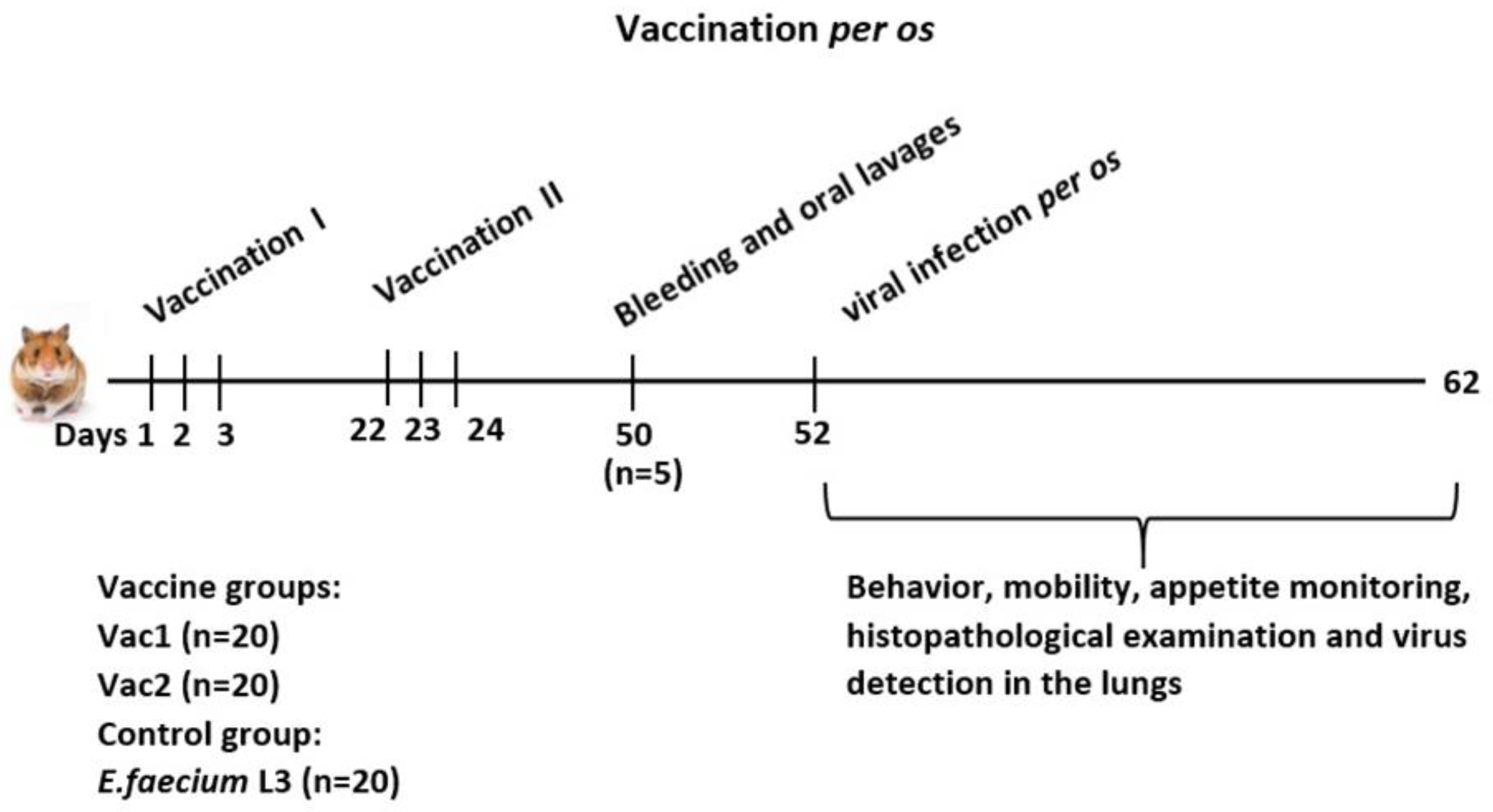Vaccines 11 01714 g001 Vaccines 11 01714 g001