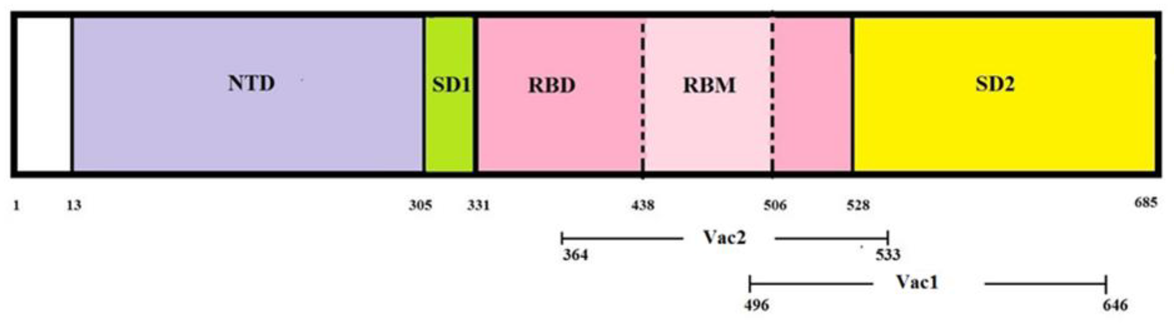 Vaccines 11 01714 g002 Vaccines 11 01714 g002